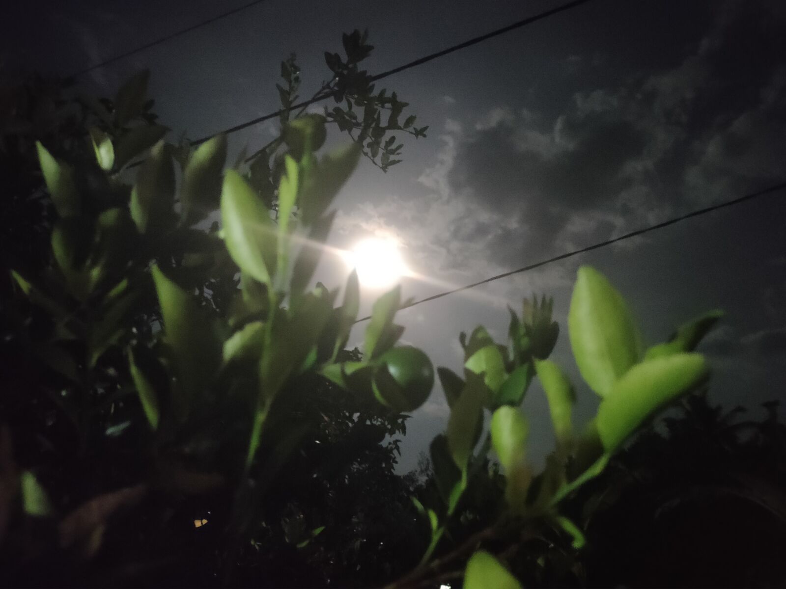 Realme XT sample photo. Night, orange tree, moon photography