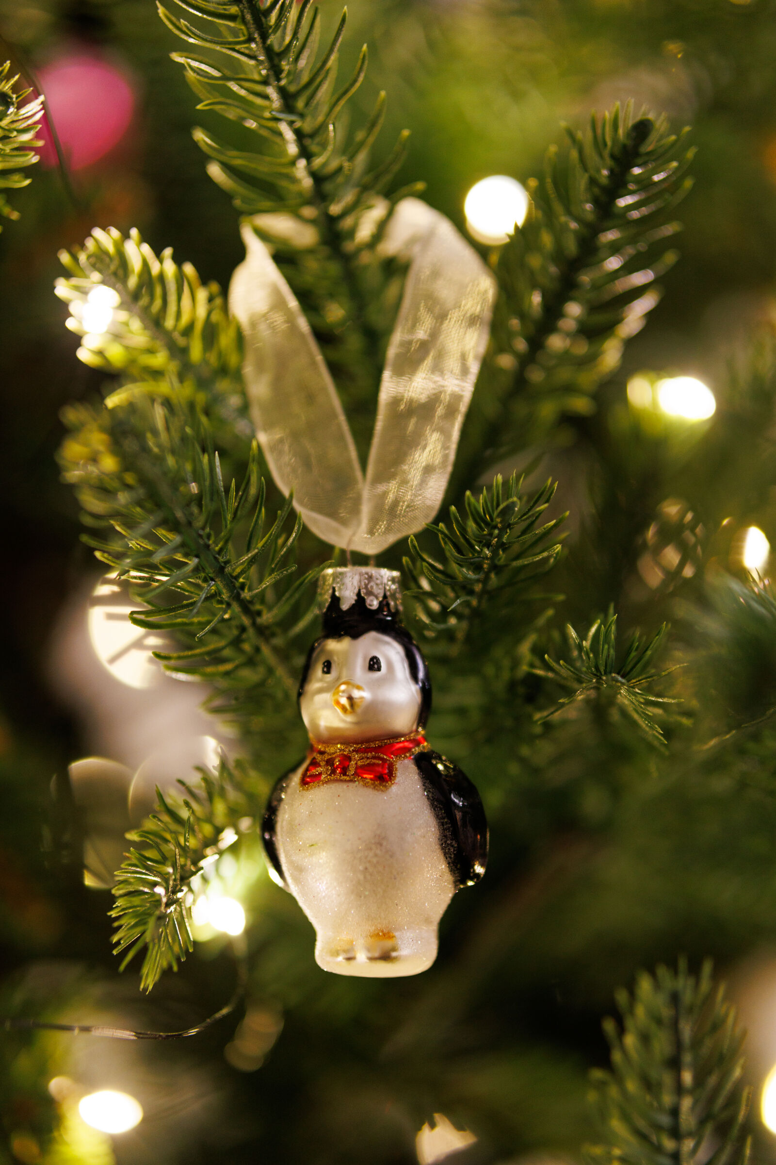 Sigma 56mm F1.4 DC DN | C sample photo. Christmas decoration photography