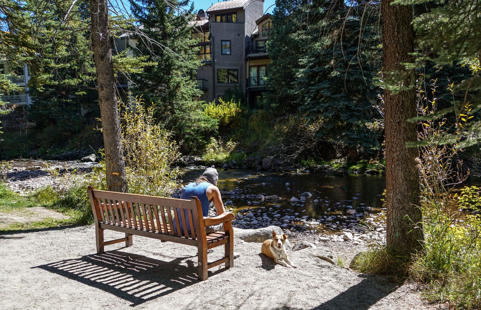 Sony a7R II + Sony FE 24-240mm F3.5-6.3 OSS sample photo. Person people, dog, bench photography