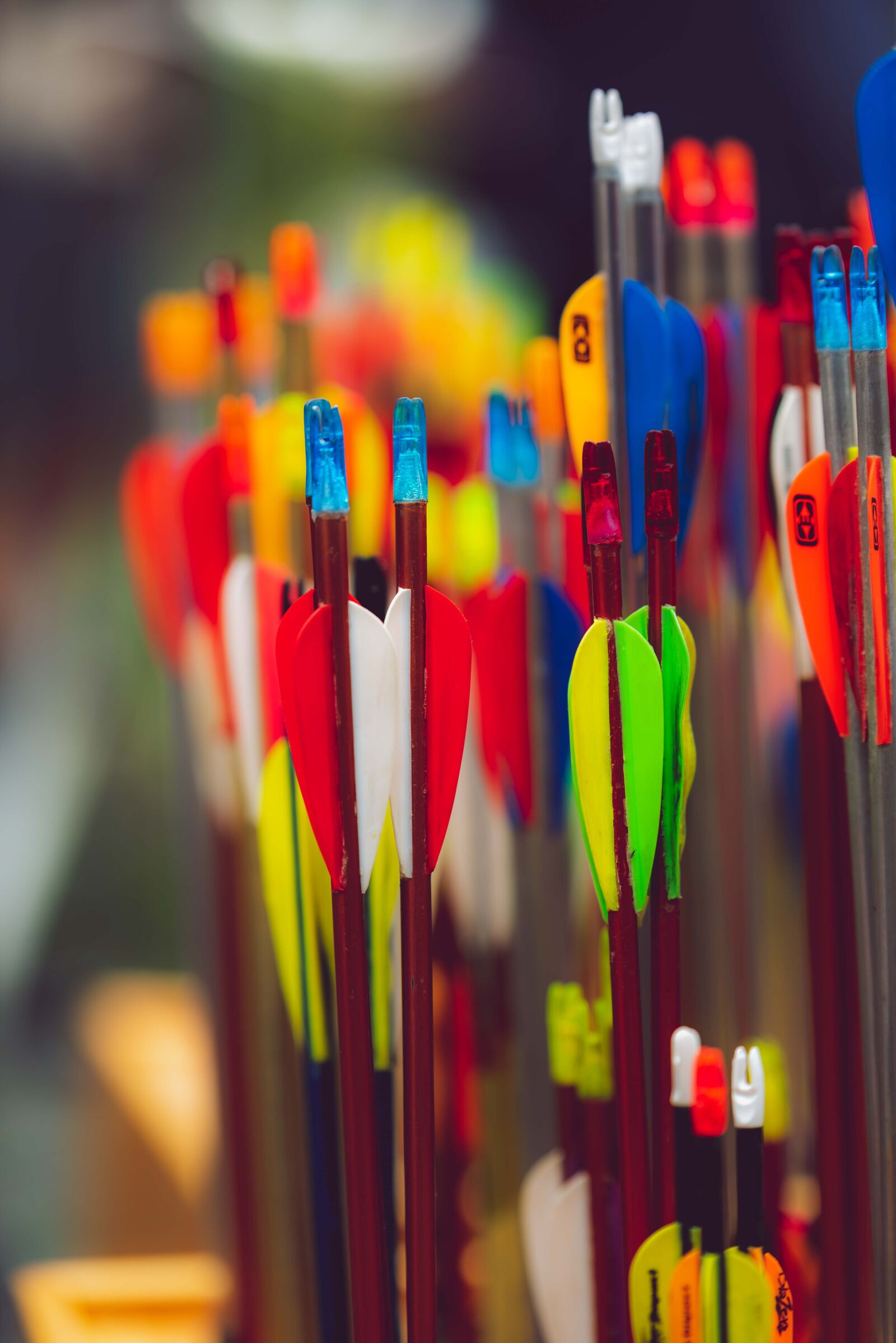 Nikon D750 sample photo. Archery, arrow, bow and photography