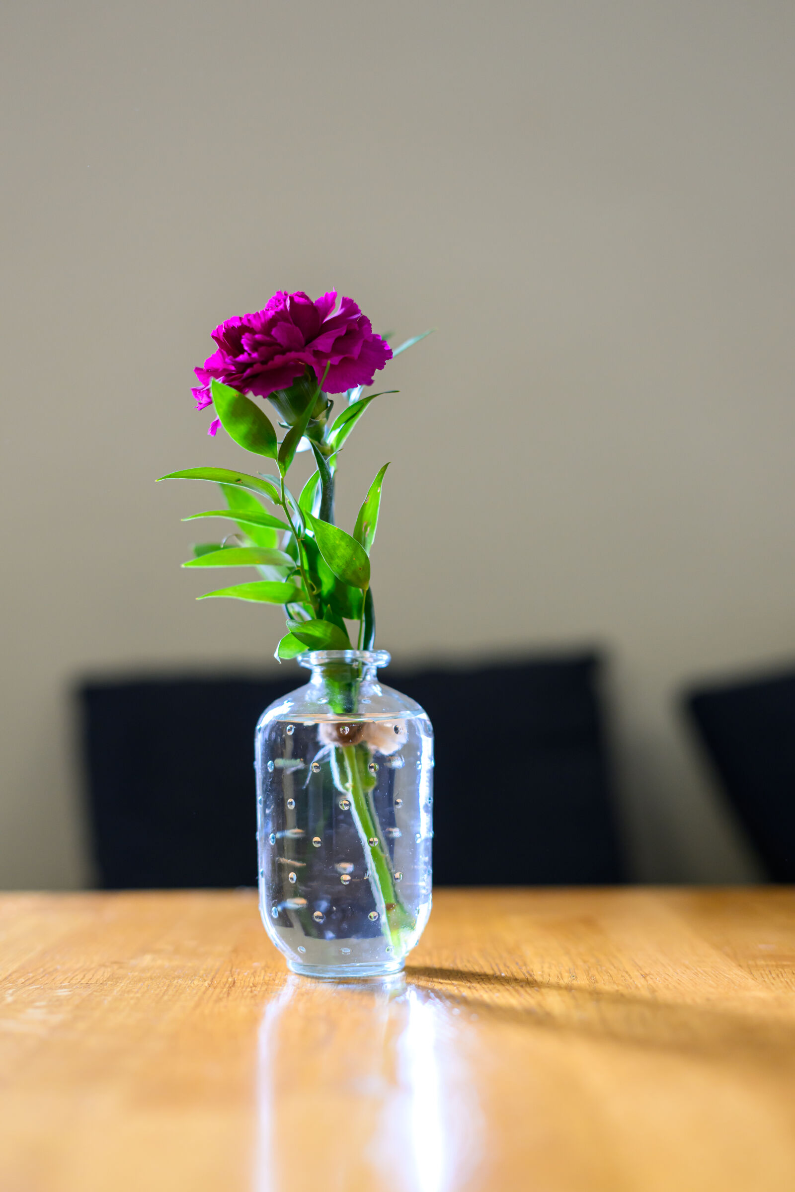 Nikon Z8 sample photo. Flower on the table photography