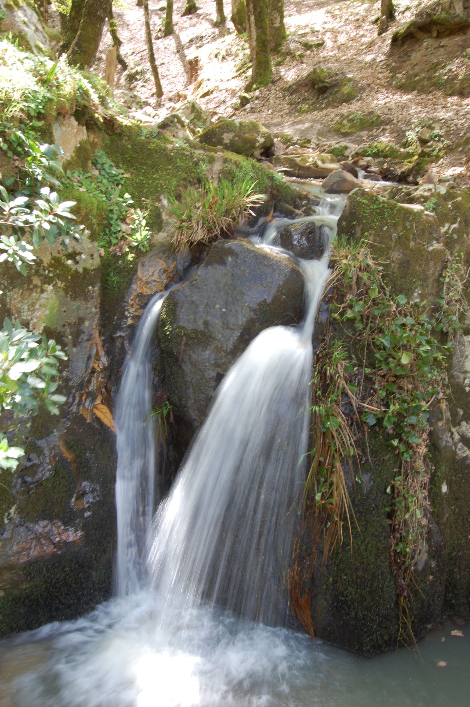 Nikon D40 sample photo. Waterfall, forest, nature photography