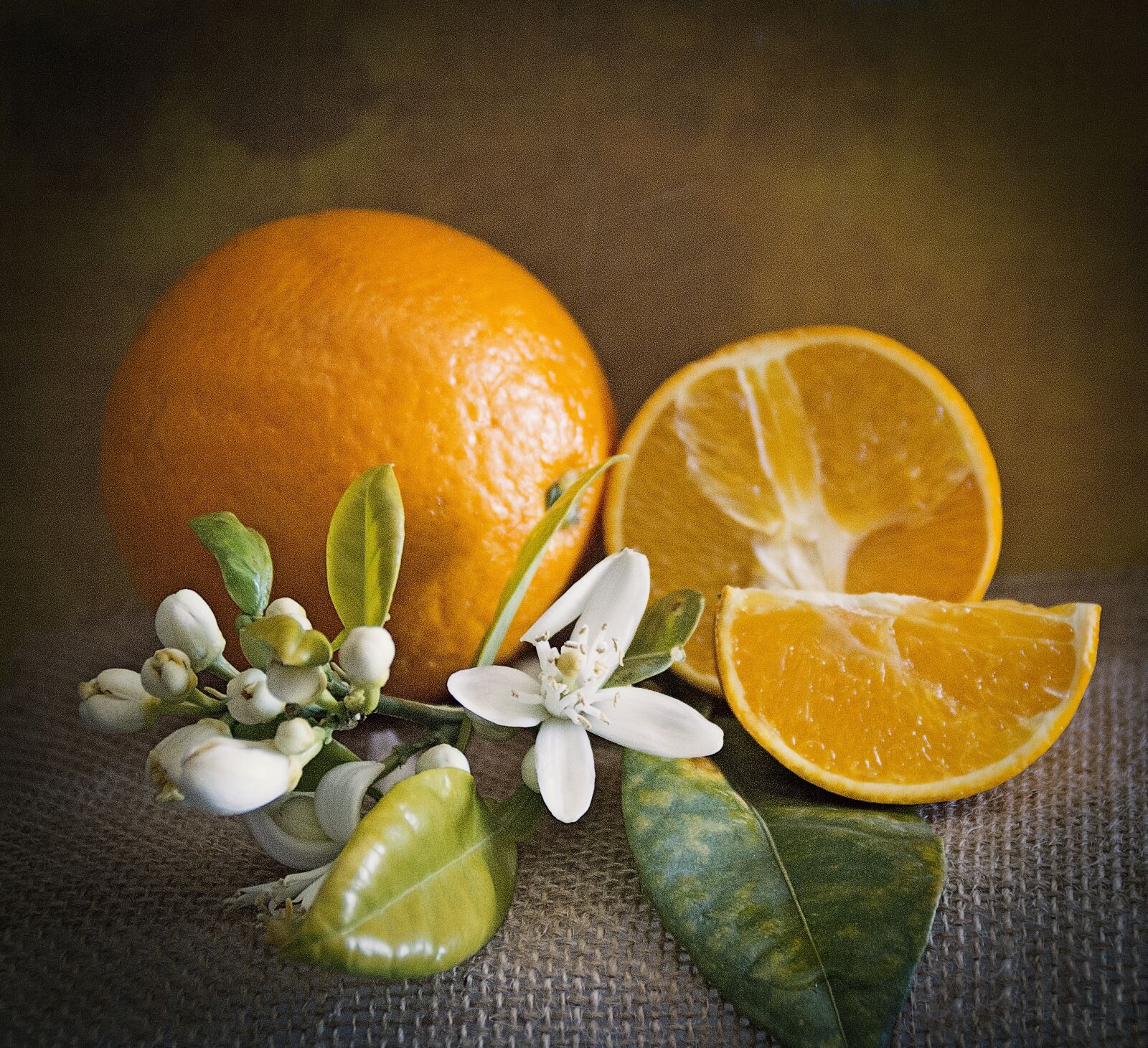 Canon EOS 1200D (EOS Rebel T5 / EOS Kiss X70 / EOS Hi) sample photo. Oranges, still life, fruit photography