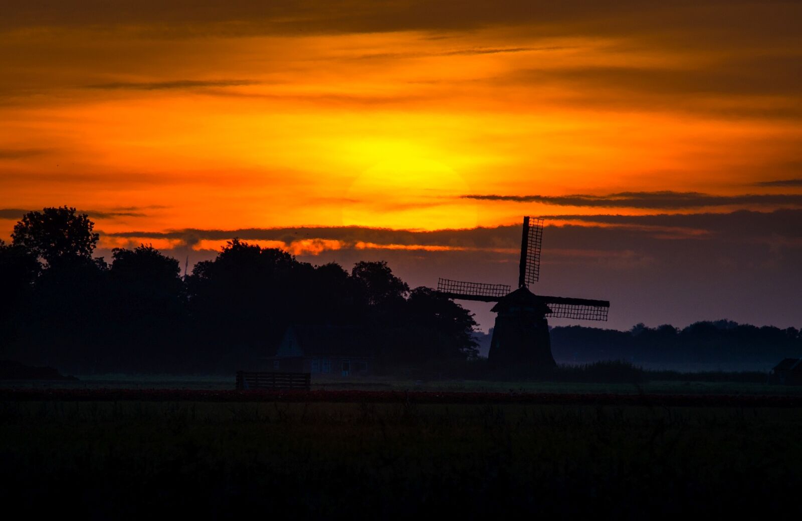 Tamron SP 150-600mm F5-6.3 Di VC USD sample photo. Sunrise, sun, morgenrot photography