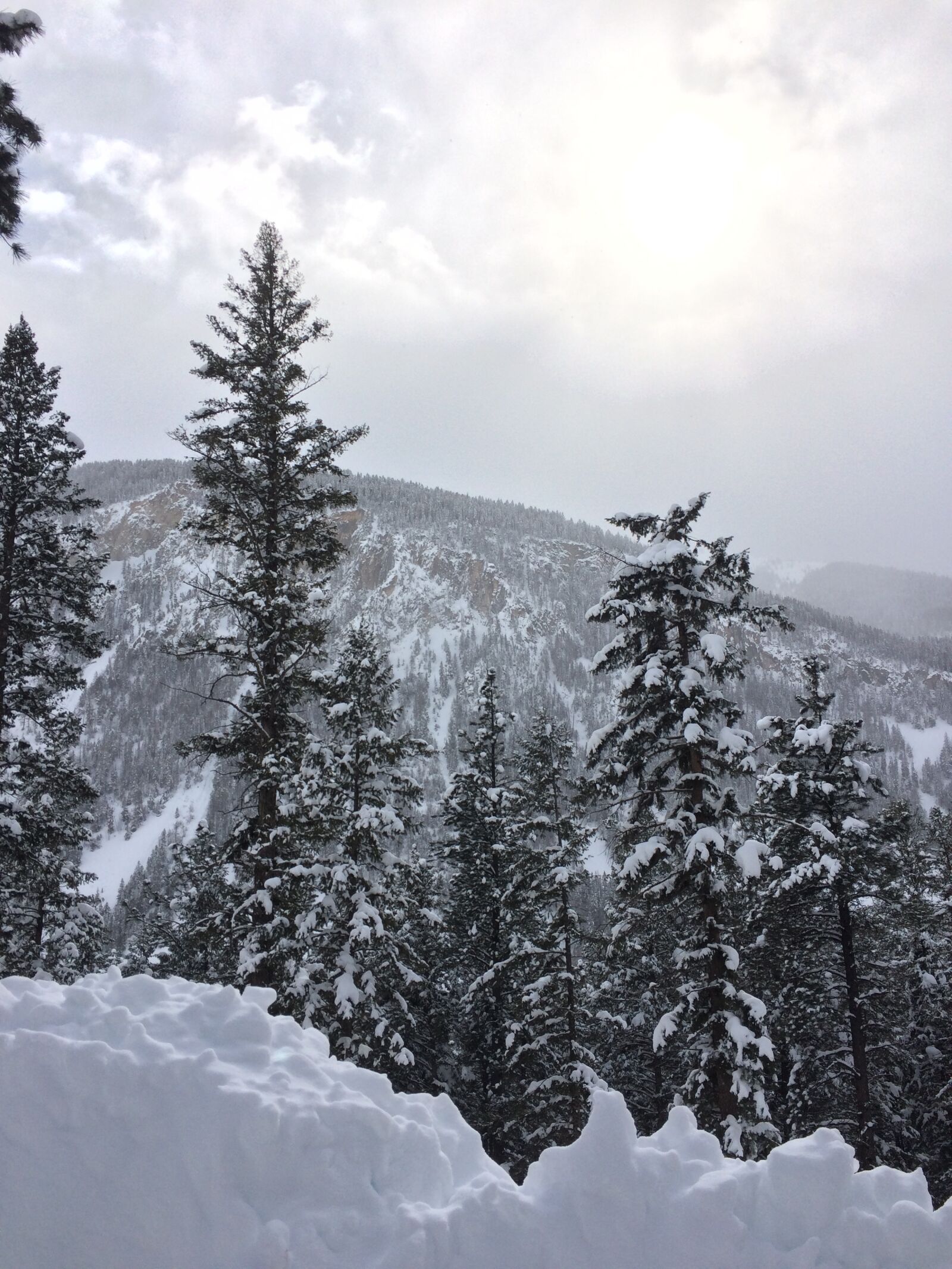 iPhone 5s back camera 4.15mm f/2.2 sample photo. Colorado, winter, snow photography