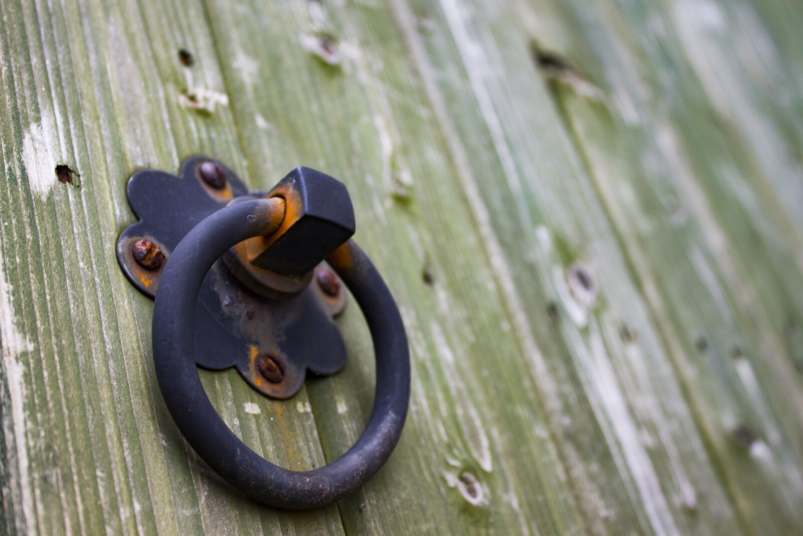 Canon EOS 650D (EOS Rebel T4i / EOS Kiss X6i) sample photo. Gate, knocker, handle photography