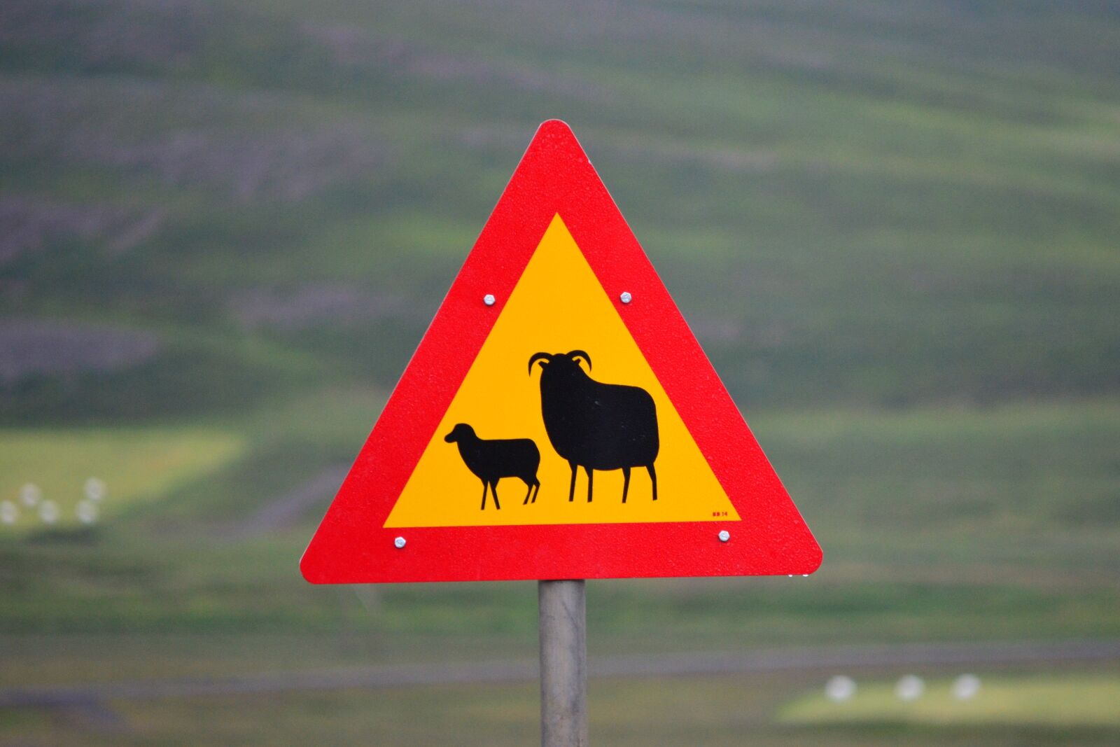 Nikon D5100 sample photo. Signal, care, traffic photography