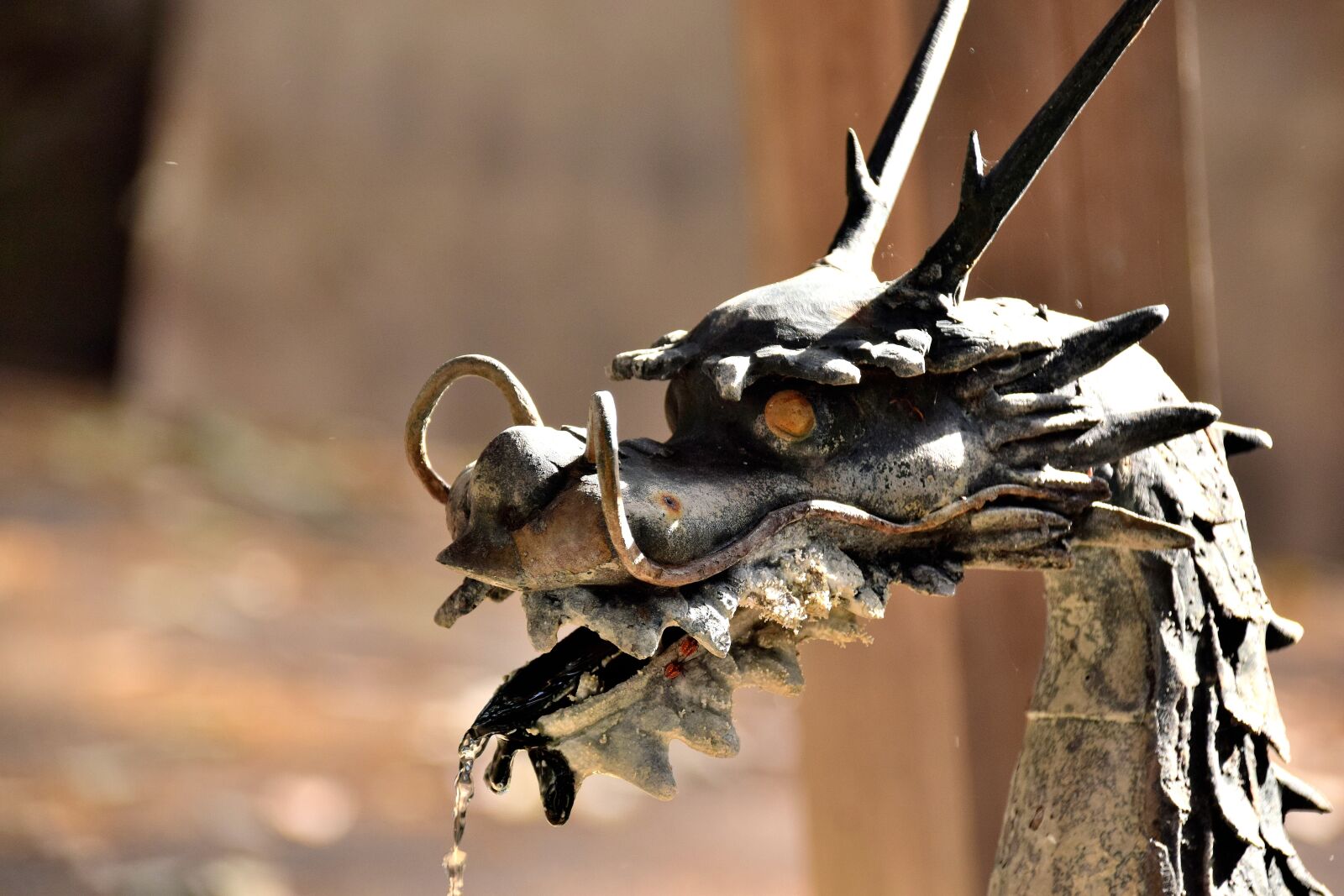 Nikon D3300 sample photo. Dragon, water, japan photography
