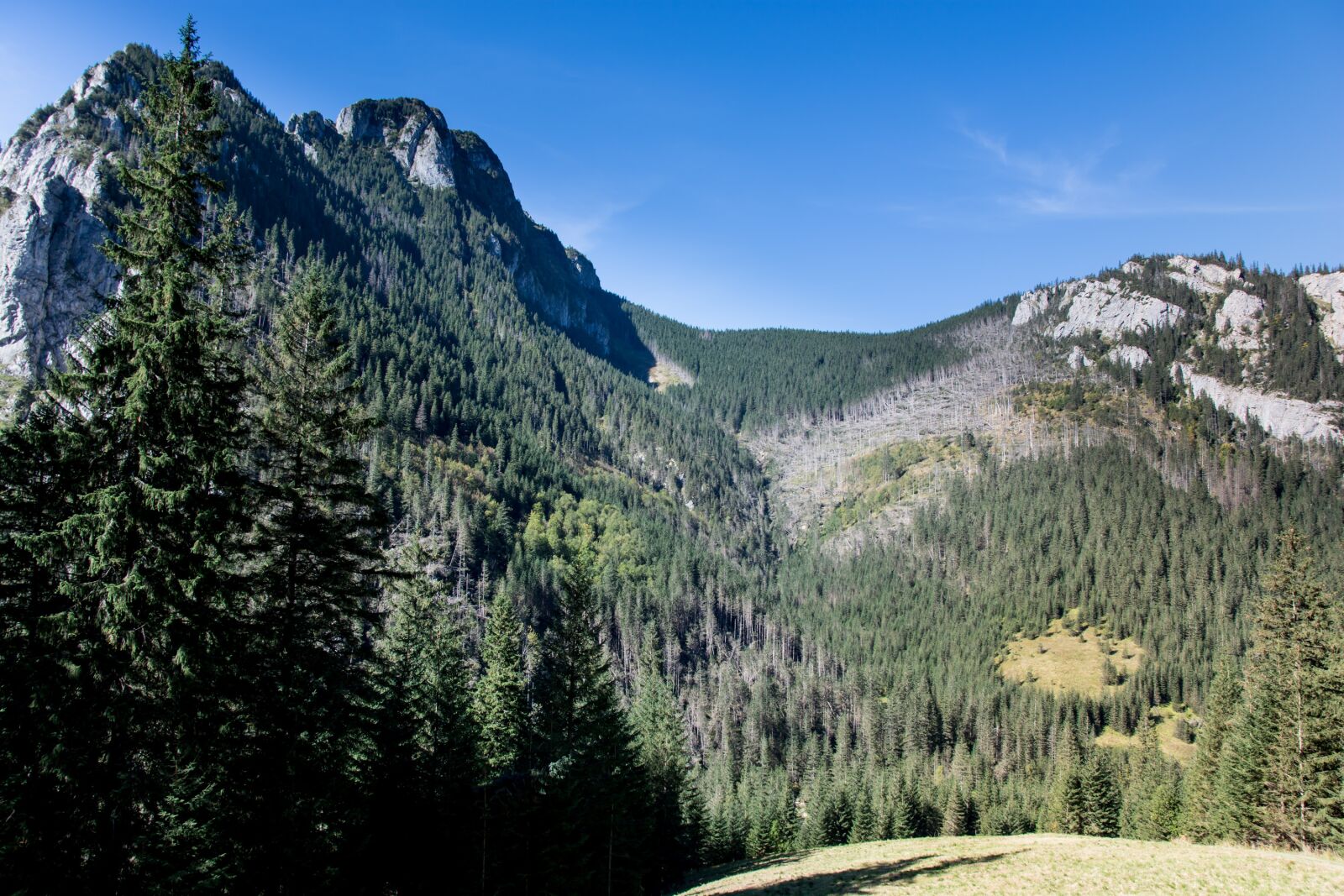 Nikon D7100 sample photo. Tatry, ko cieliska valley photography