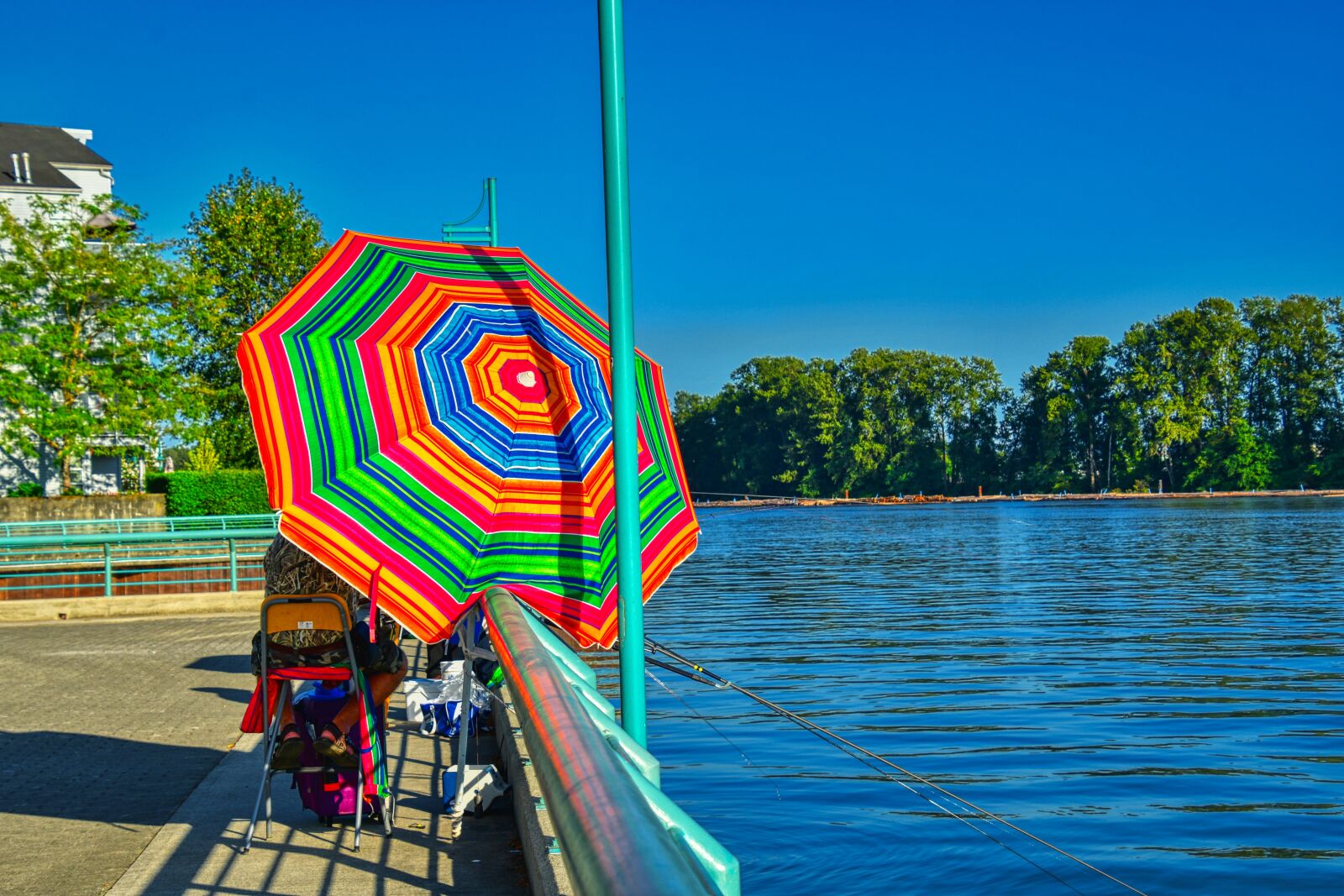 Nikon D7500 sample photo. Fishing, river, relaxing photography