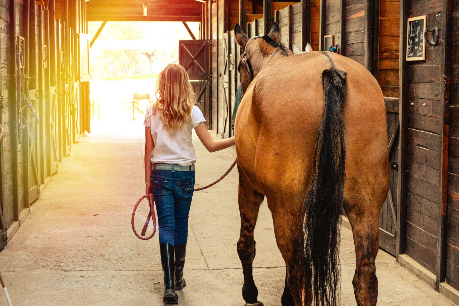 Nikon D610 sample photo. Horse, horses, stables photography