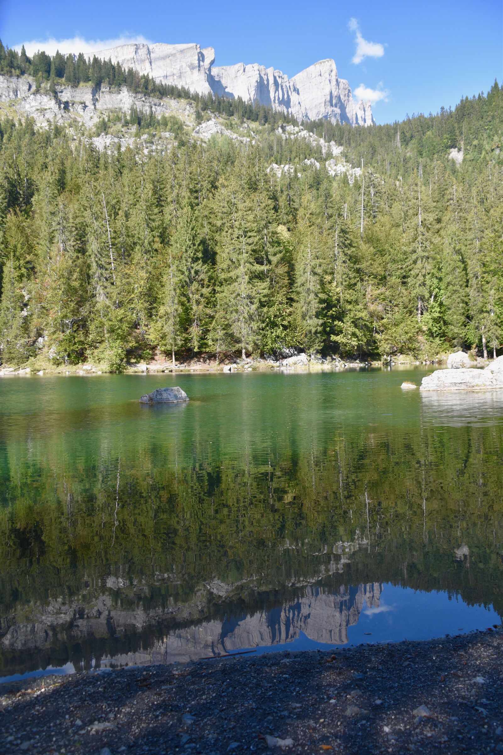 Nikon D5600 sample photo. Lake, reflections in water photography