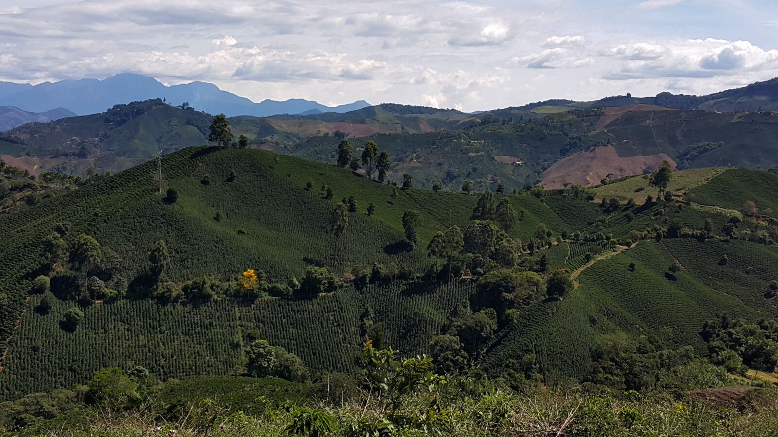 Samsung Galaxy Note4 sample photo. Colombian coffee, coffee, coffee photography