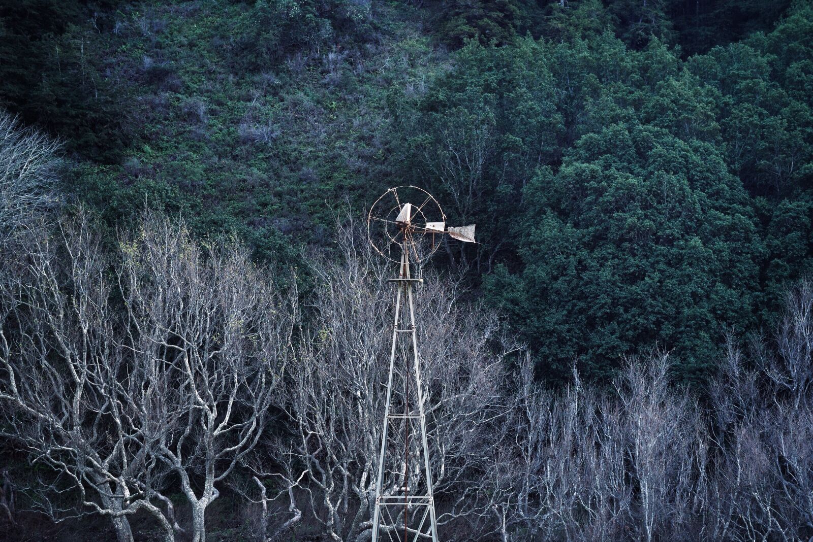 Nikon D810 sample photo. Windmill, vintage, trees photography