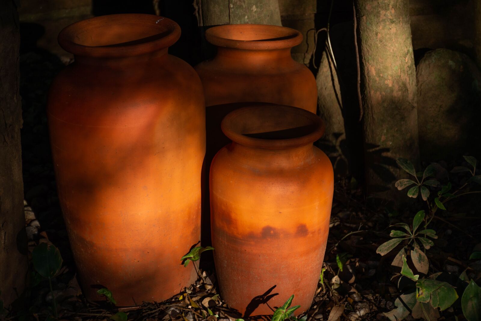 Nikon D7200 sample photo. Golden hour, sun, light photography