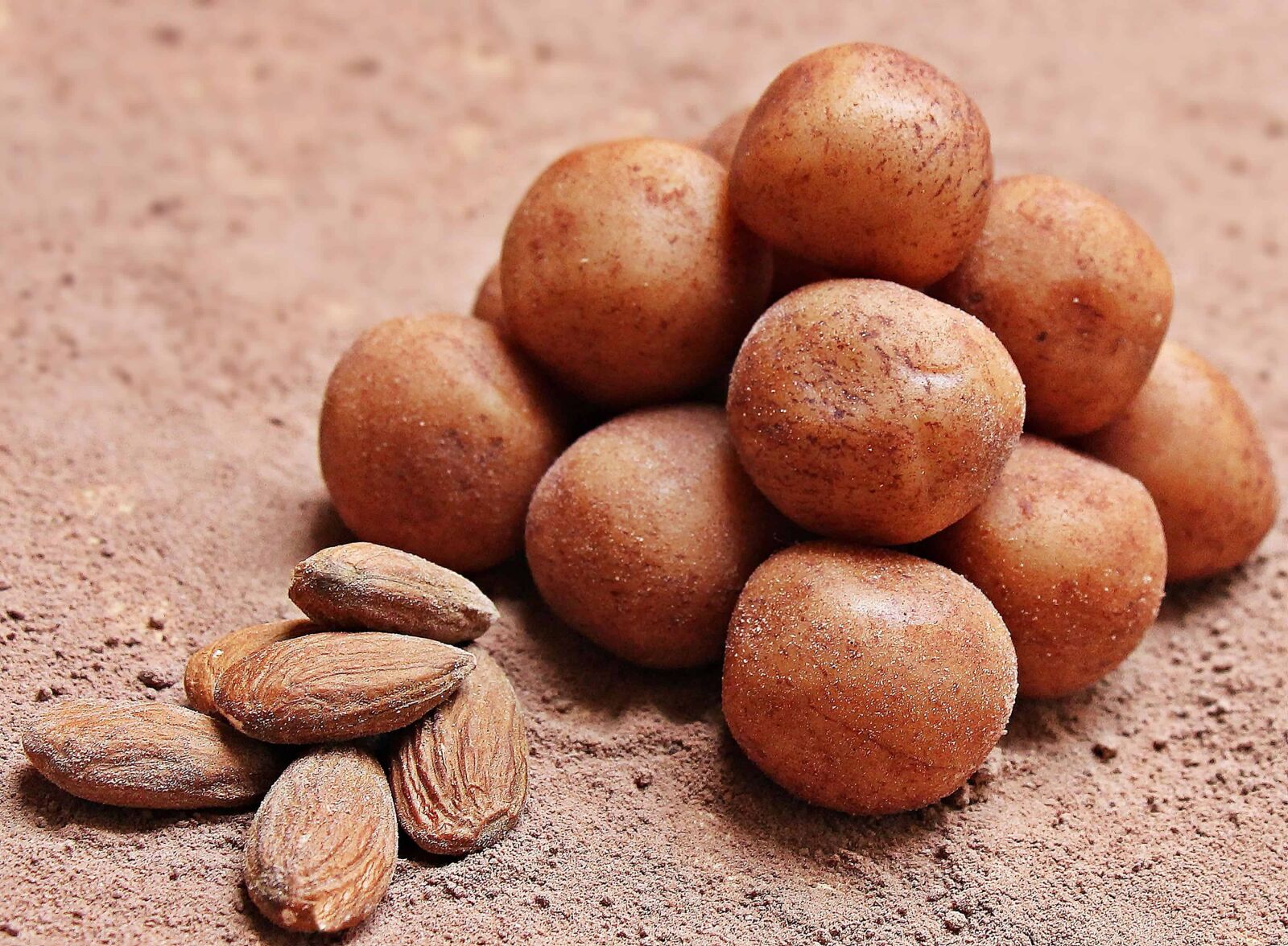 Canon EOS 550D (EOS Rebel T2i / EOS Kiss X4) sample photo. Seed, food, grain, nutrition photography