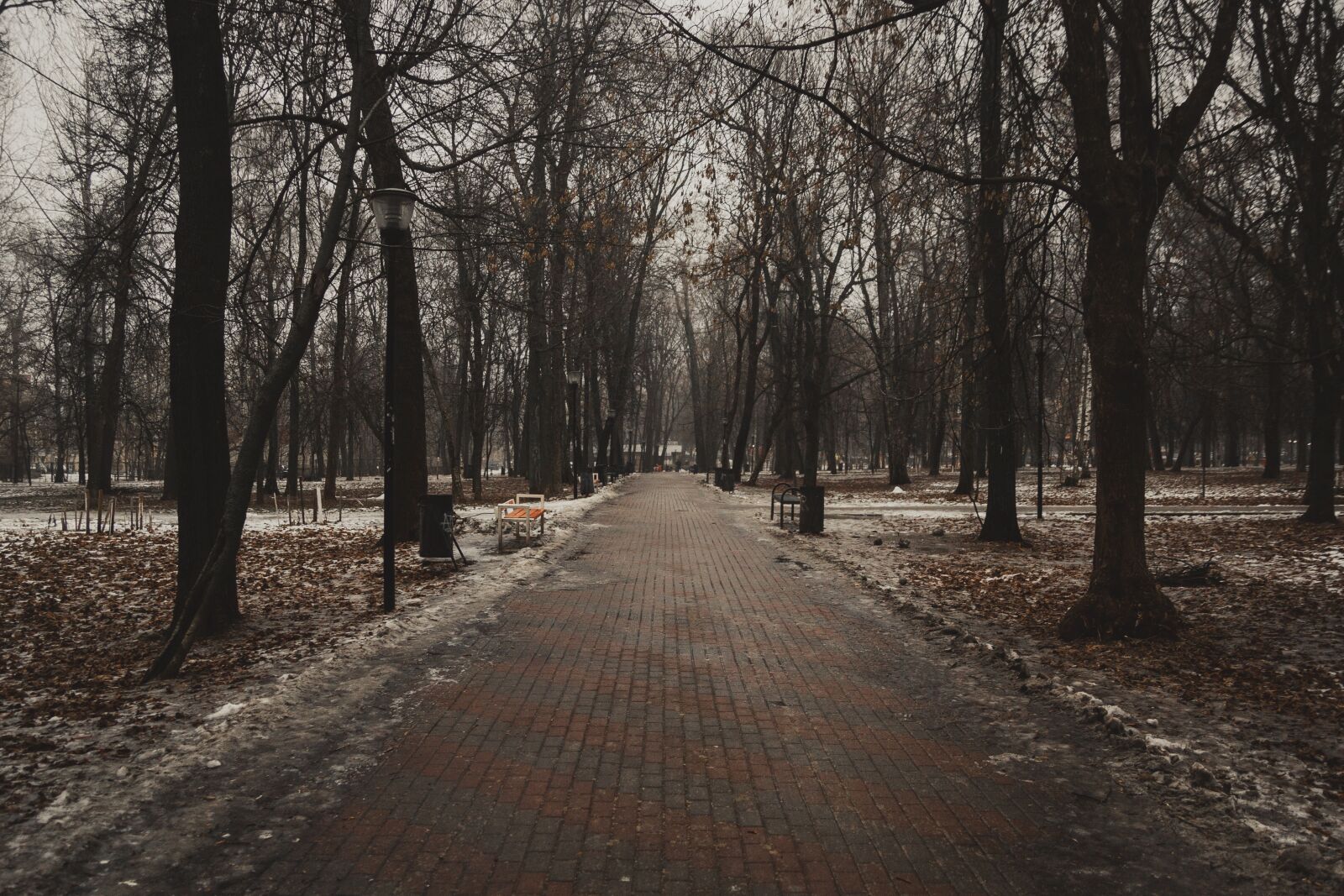 Canon EOS 60D sample photo. Park, fog, tree photography