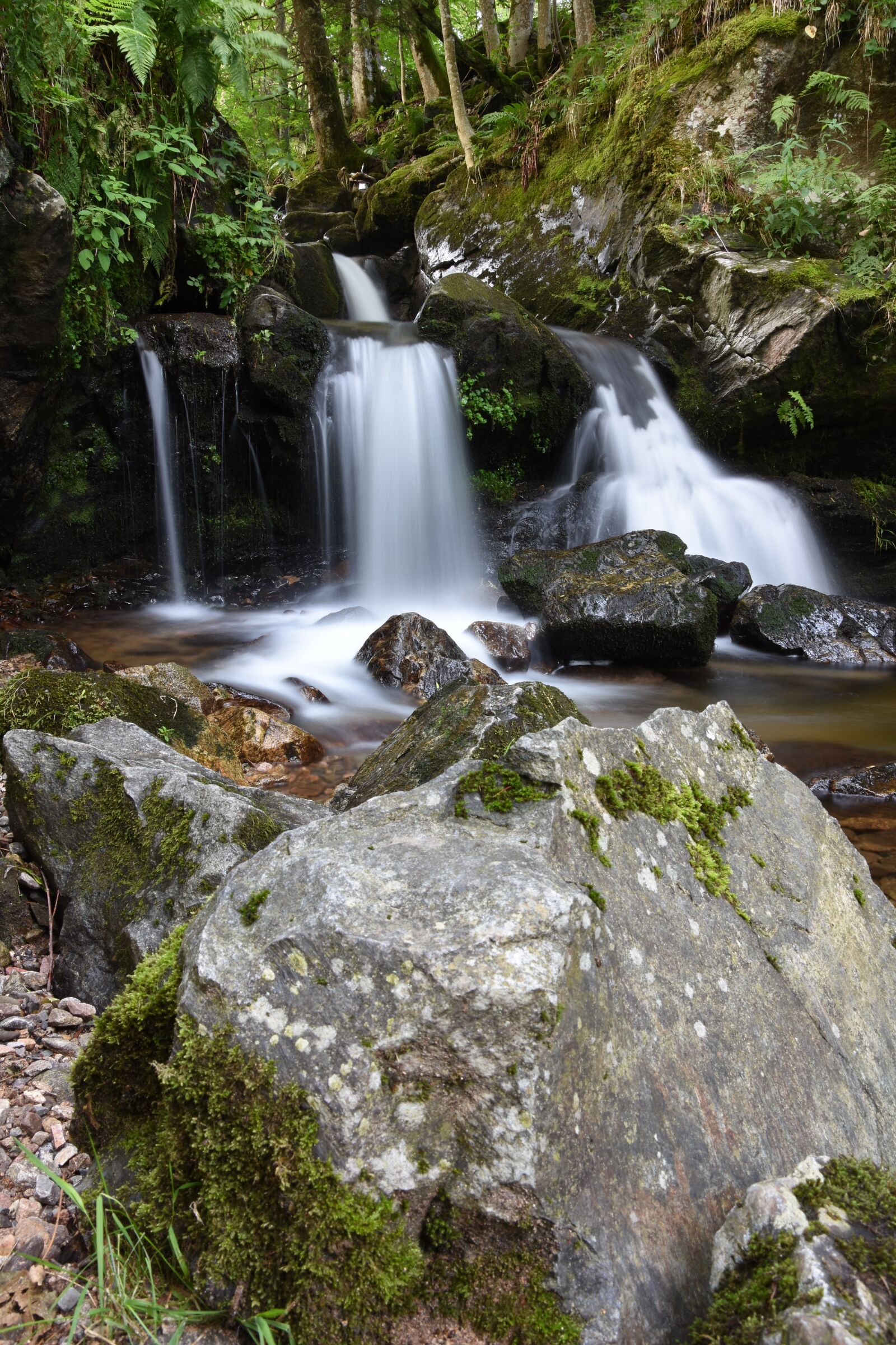 Nikon D7200 sample photo. Bach, rock, idyllic photography