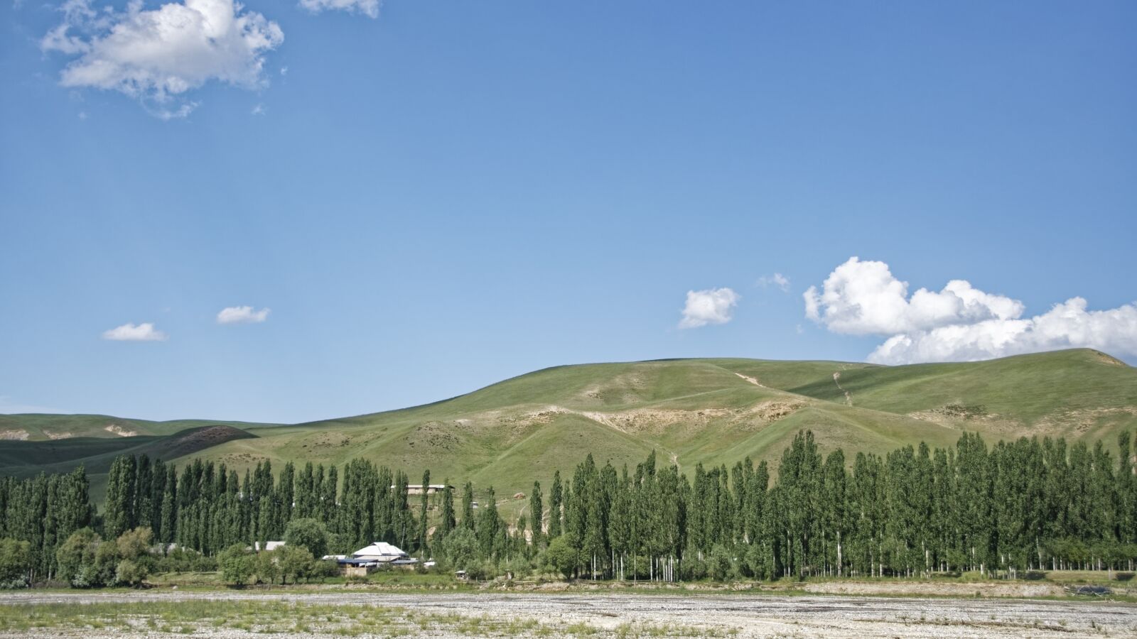Nikon D500 sample photo. Kyrgyzstan, alai-mountains, alai valley photography