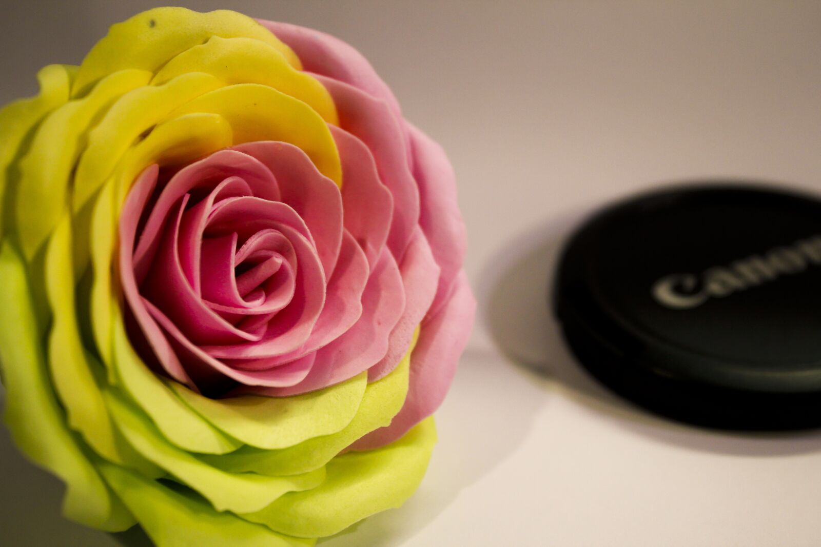 Canon EOS 550D (EOS Rebel T2i / EOS Kiss X4) sample photo. Soap flowers, flower, red photography