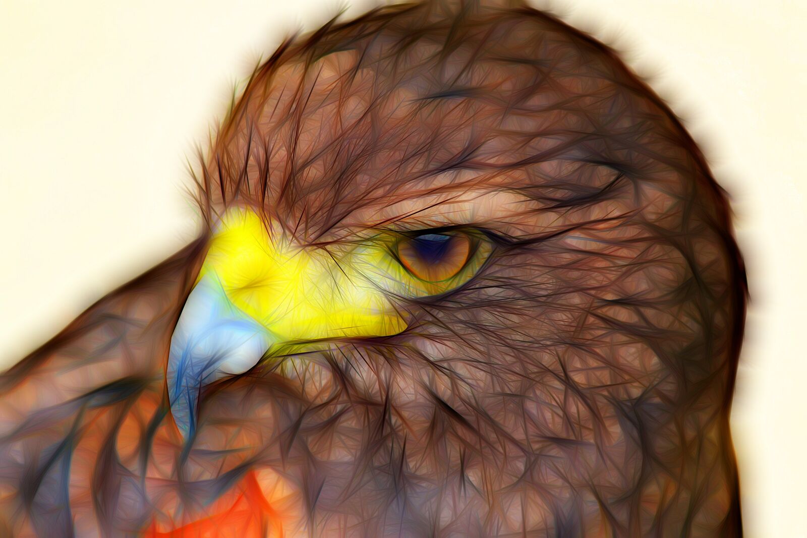 Canon EOS 550D (EOS Rebel T2i / EOS Kiss X4) sample photo. Buzzard, art, bird photography
