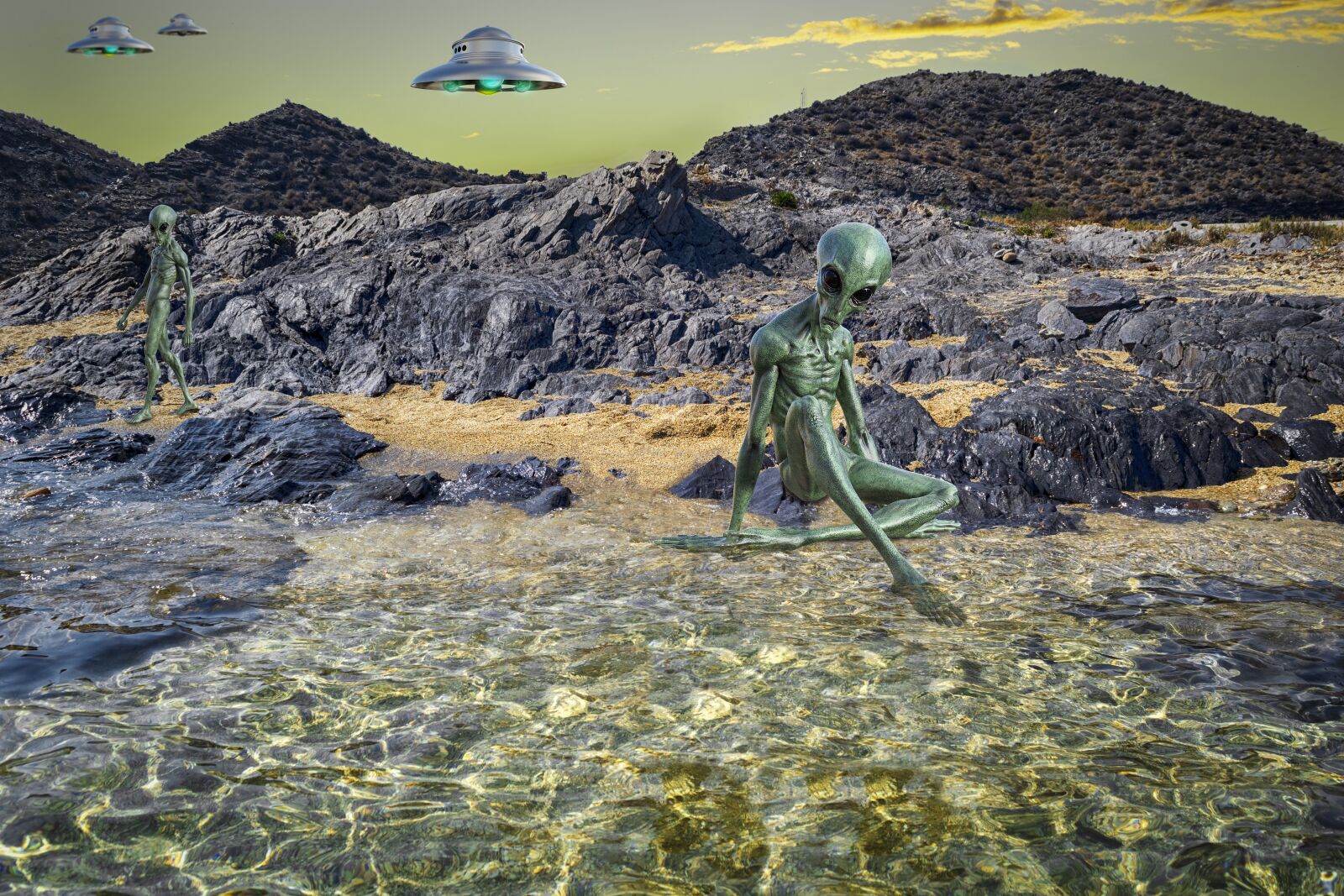 Nikon D3300 sample photo. Beach, ufo, alien photography