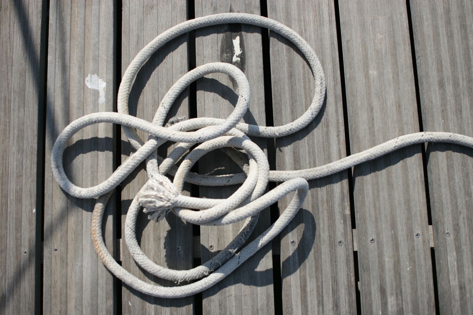 Canon EOS 20D sample photo. Rope, marina, harbor photography