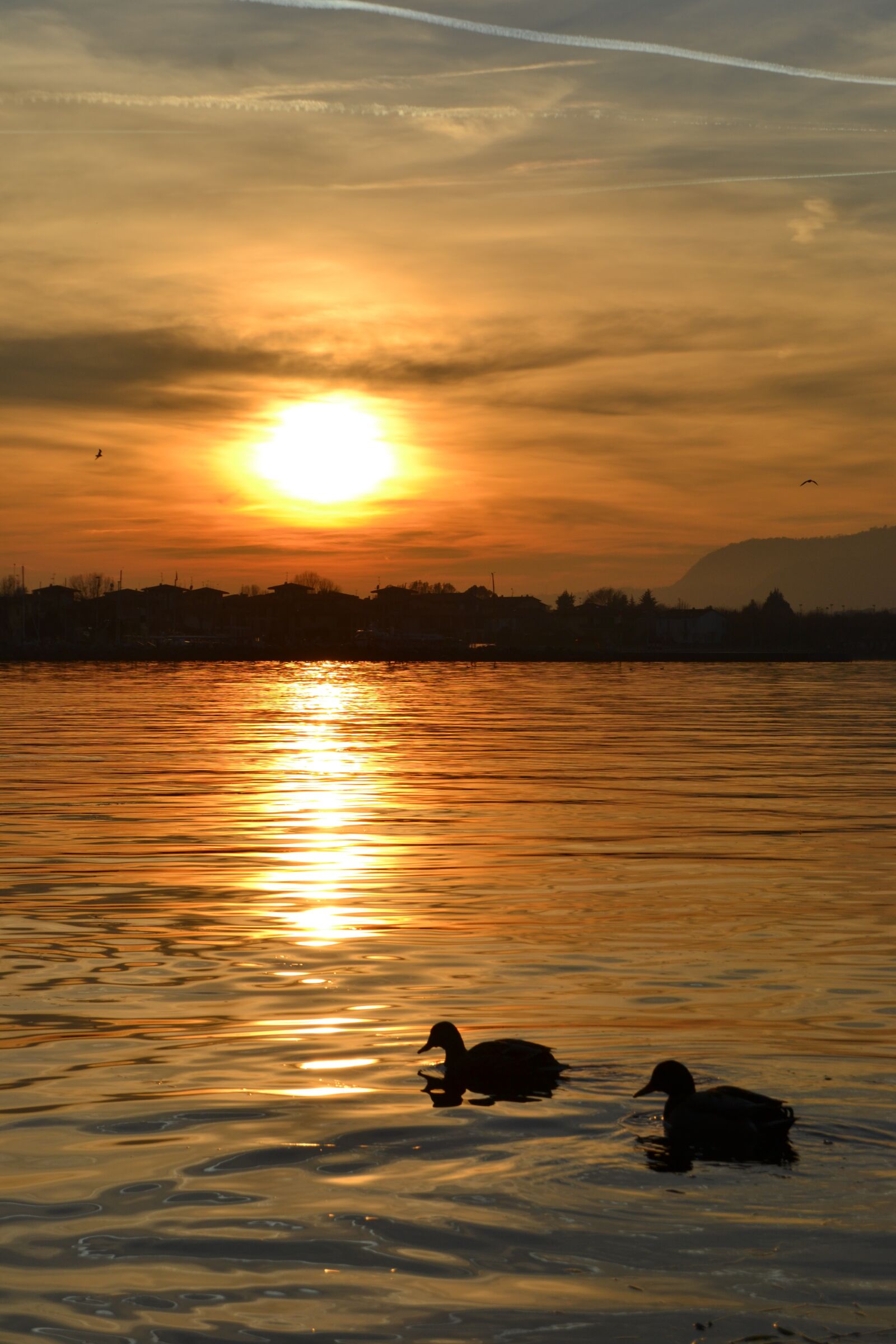 Nikon D3100 sample photo. Sunset, waters, sun photography