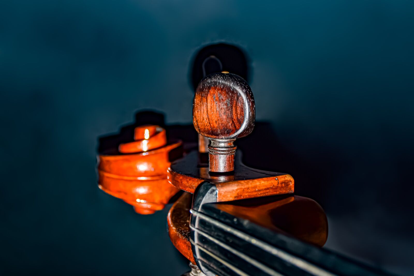Nikon D5600 sample photo. Tuning key, cello, strings photography