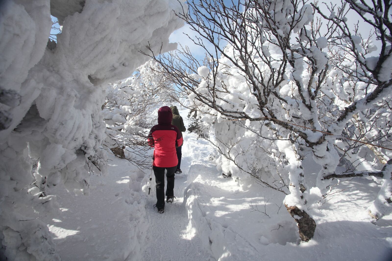 Canon EOS 5D Mark II sample photo. Winter mountain, halla, jeju photography