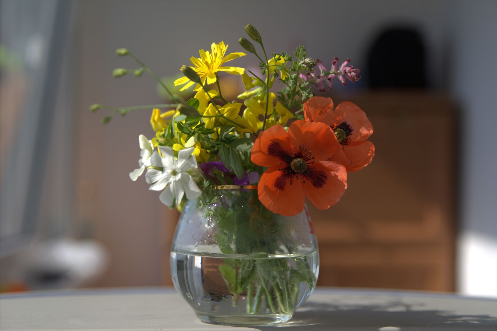Canon EOS 600D (Rebel EOS T3i / EOS Kiss X5) sample photo. Vase, flower, march 8 photography