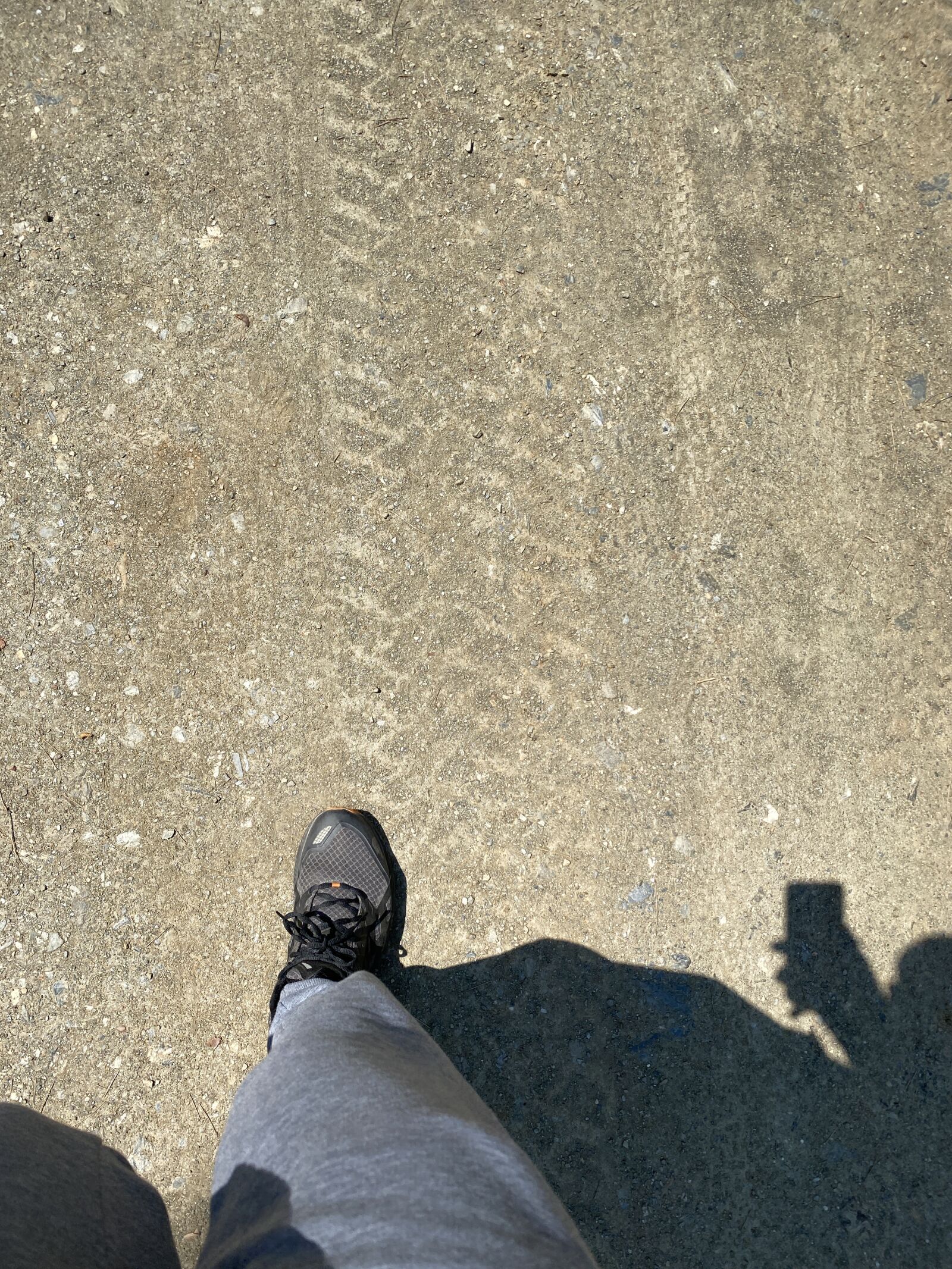 Apple iPhone 11 Pro sample photo. Trailrunning, mountain, nature photography