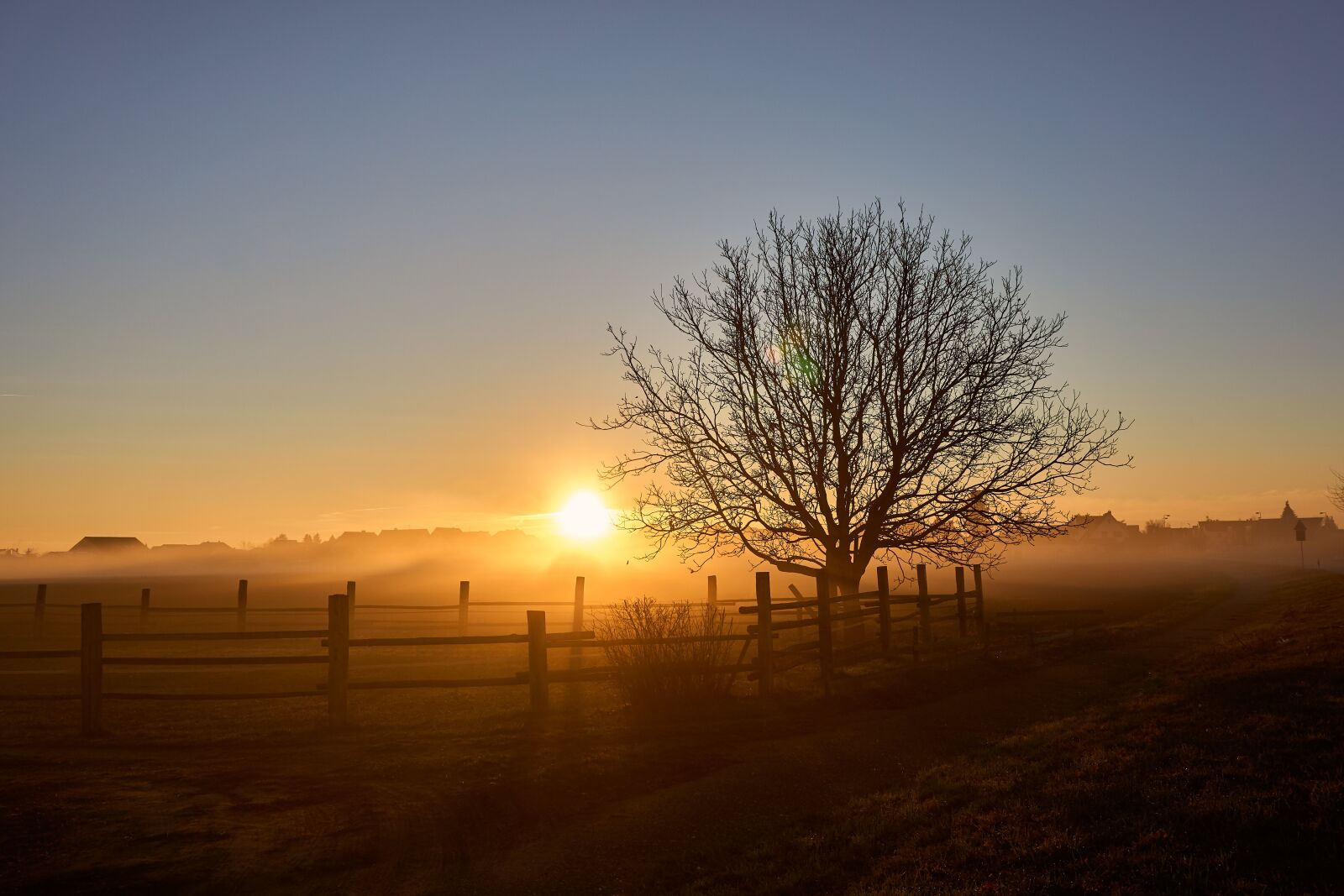 Sony a6000 + Sony E PZ 16-50 mm F3.5-5.6 OSS (SELP1650) sample photo. Sunrise, fog, autumn photography