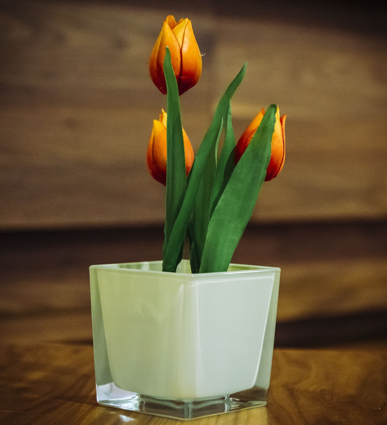 Nikon D750 sample photo. Tulips, flowers, potted photography