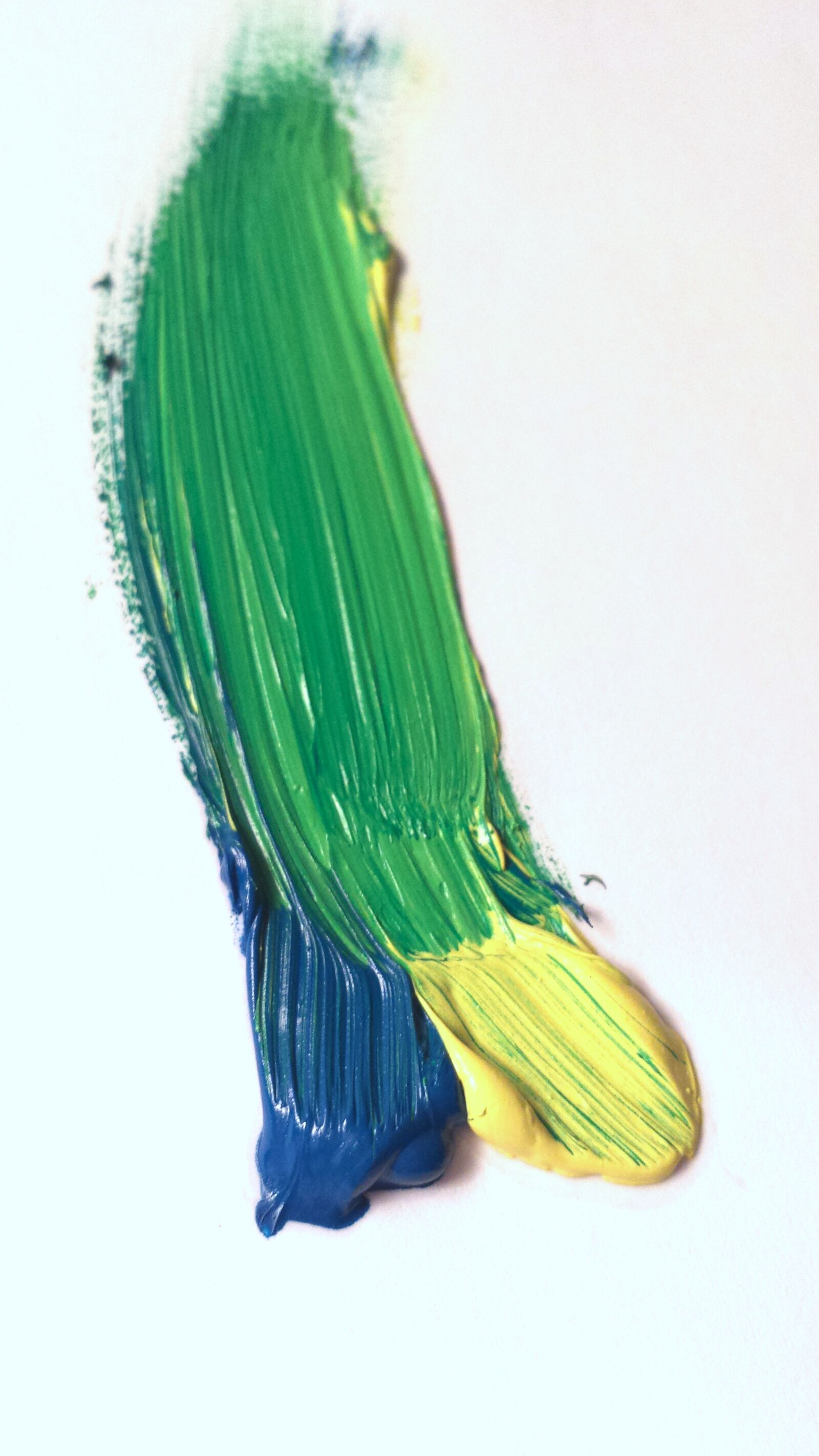 Samsung Galaxy S4 sample photo. Color, mix, brush photography