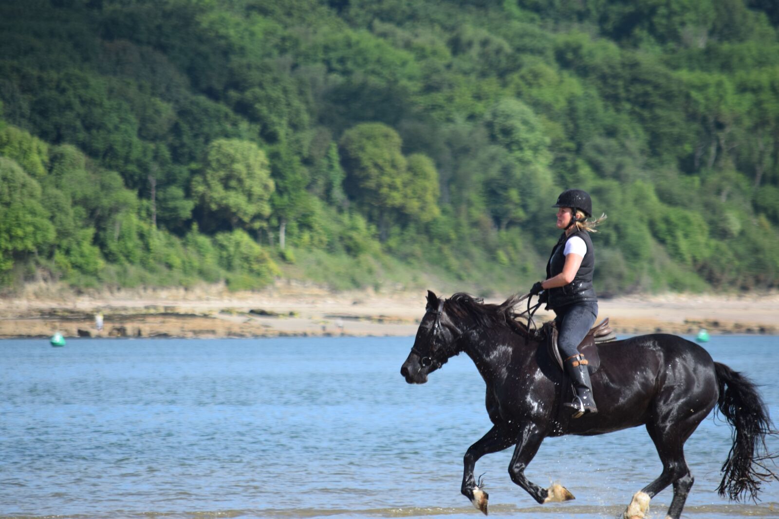 Nikon D3300 sample photo. Horse, sea, rider photography