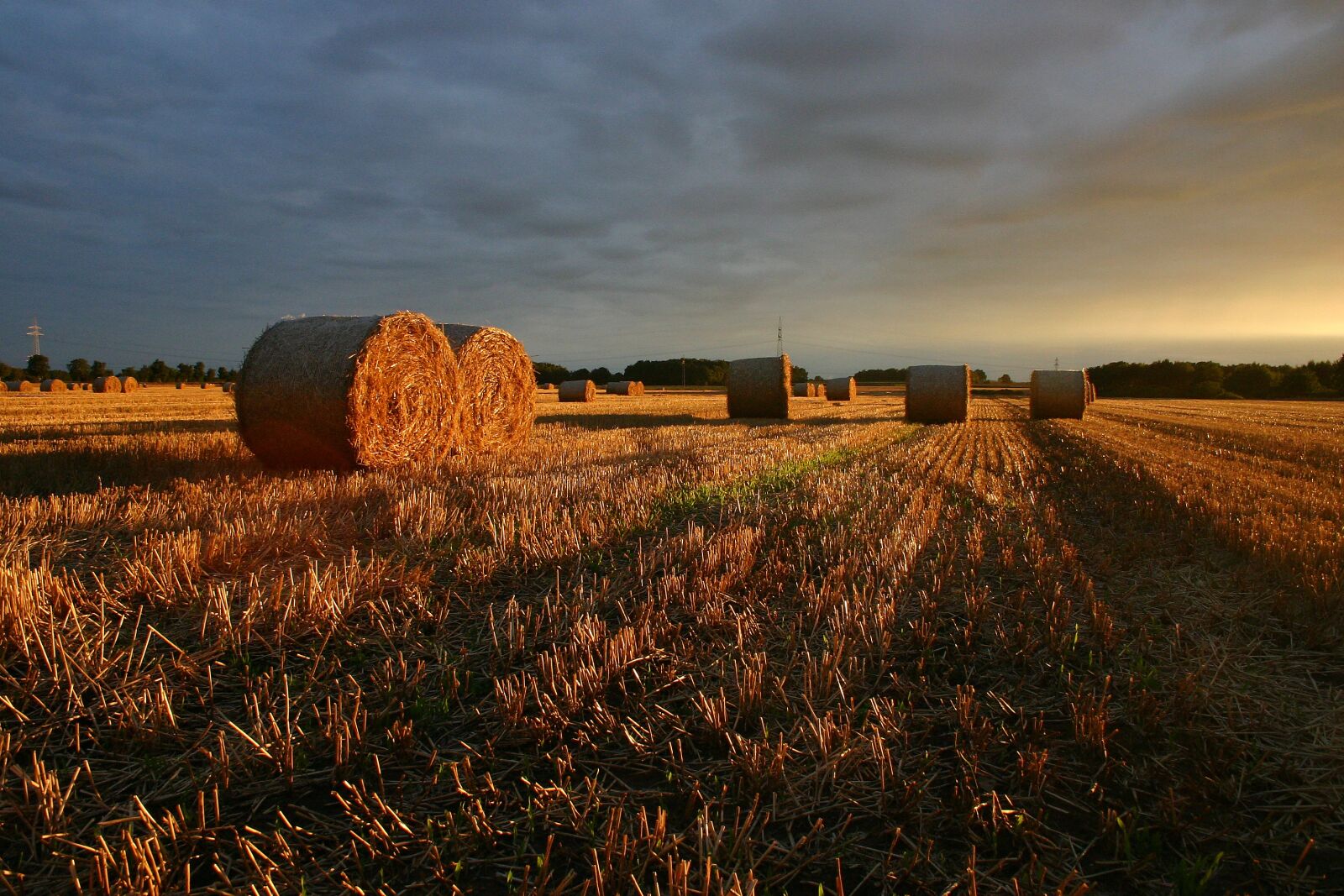 Canon EOS 300D (EOS Digital Rebel / EOS Kiss Digital) sample photo. Summer, straw, field photography