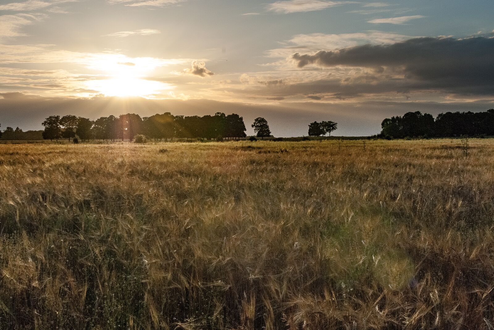 Nikon D80 sample photo. Sunset, twilight, sky photography