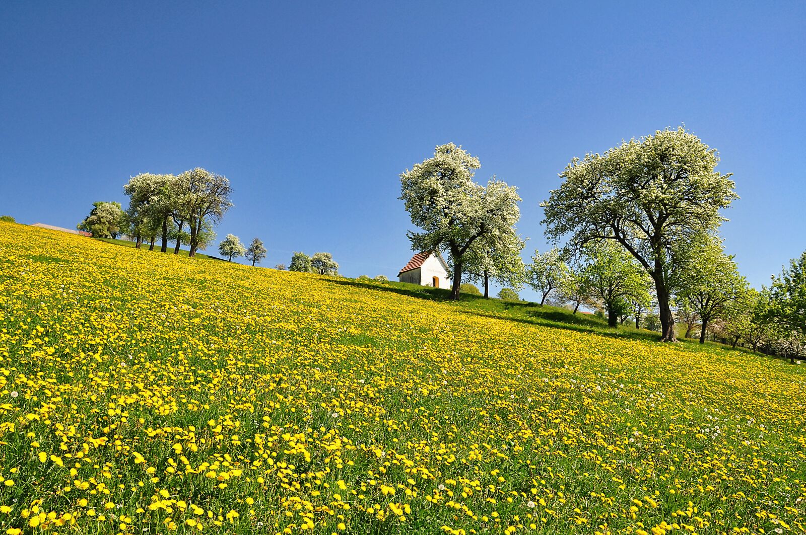 Nikon D90 sample photo. Nature, landscape, spring photography