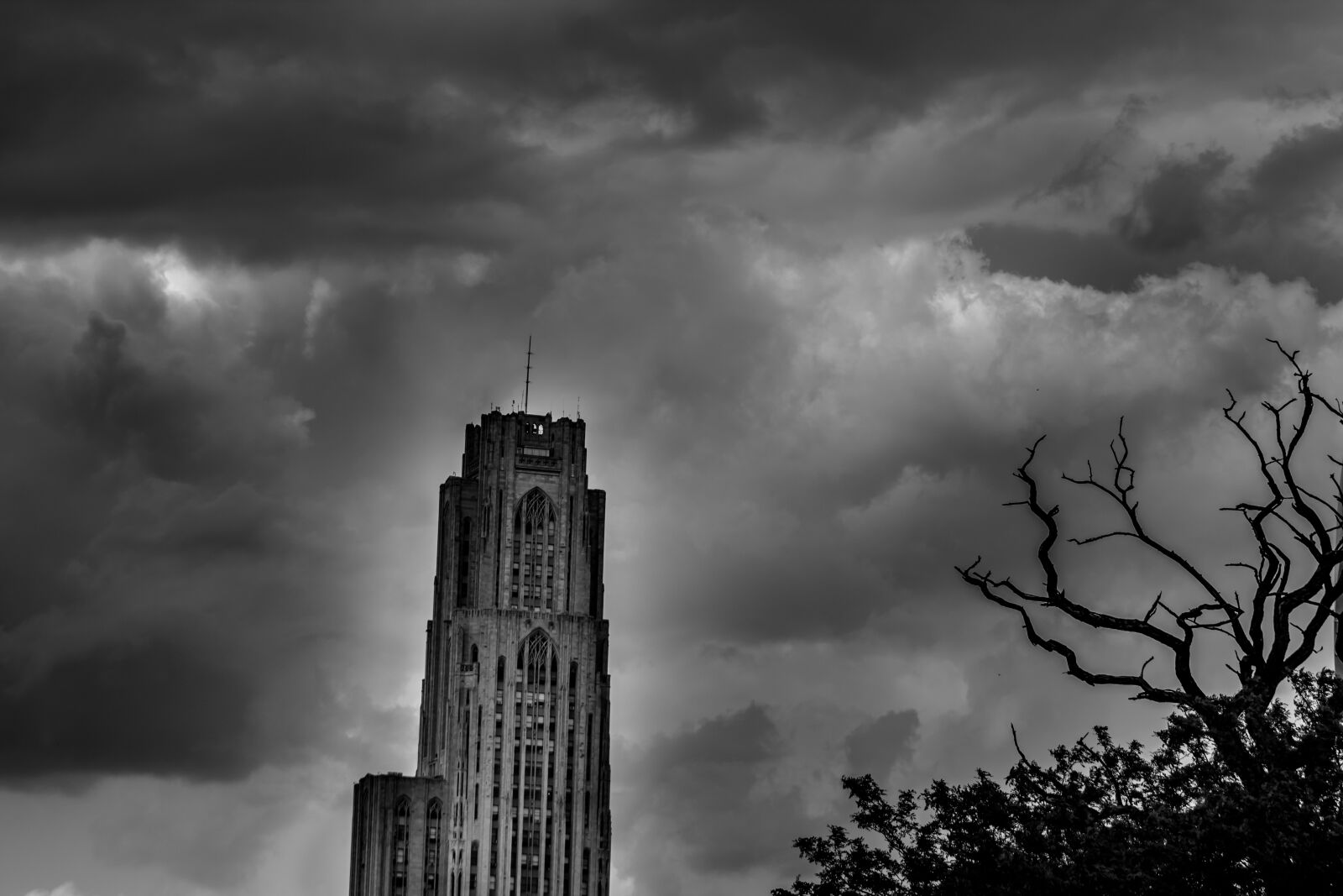 Canon EF75-300mm f/4-5.6 sample photo. Black and white, cathedral photography