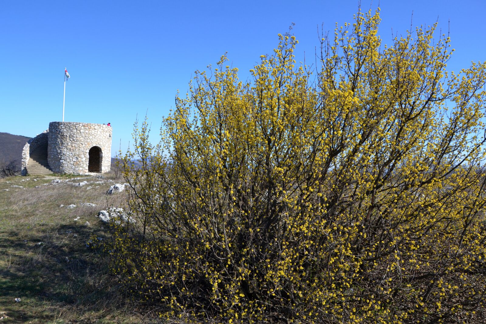 Nikon D3100 sample photo. Hungary, baranya, big-mountain photography
