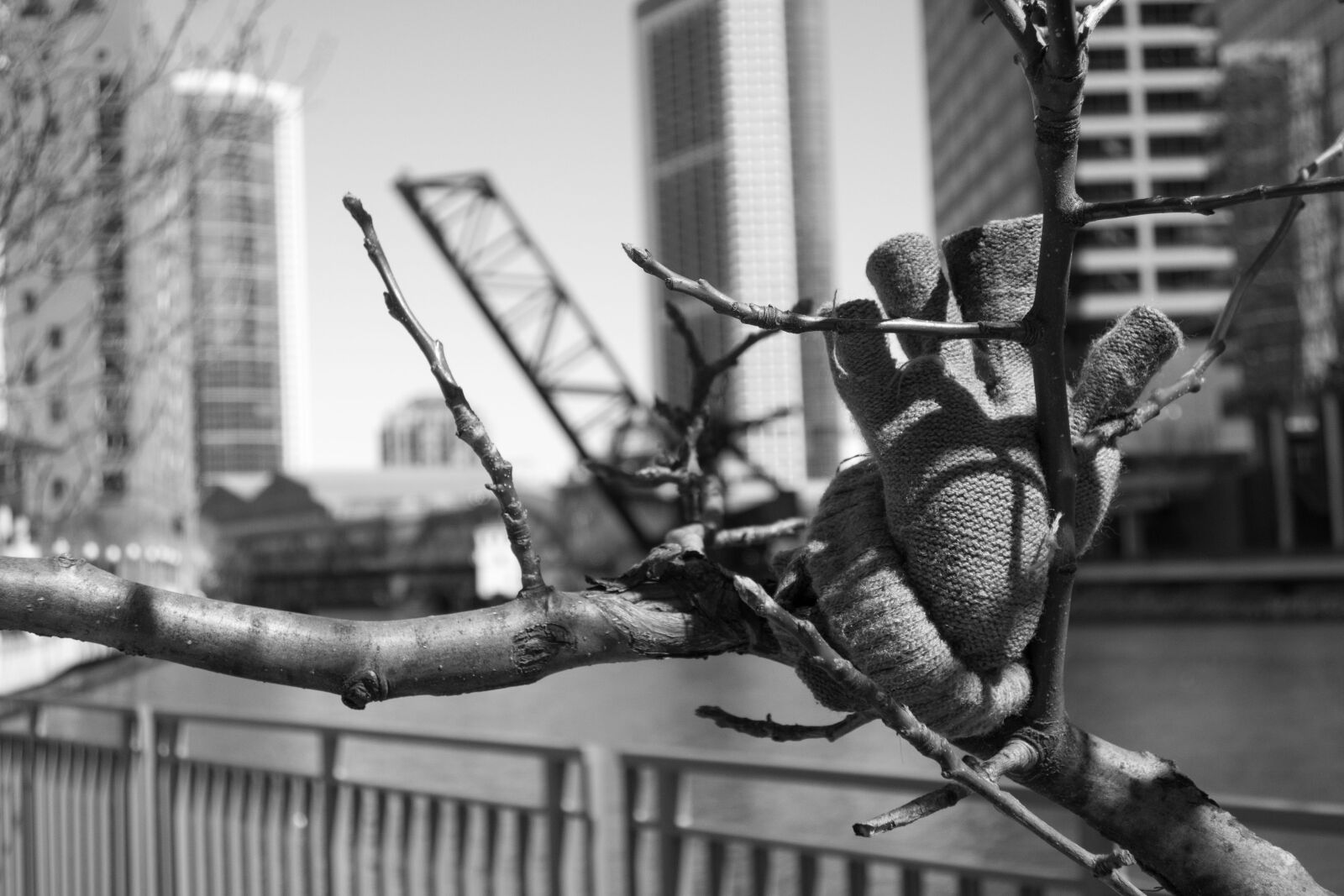 Canon PowerShot G9 X Mark II sample photo. Chicago, city, river photography