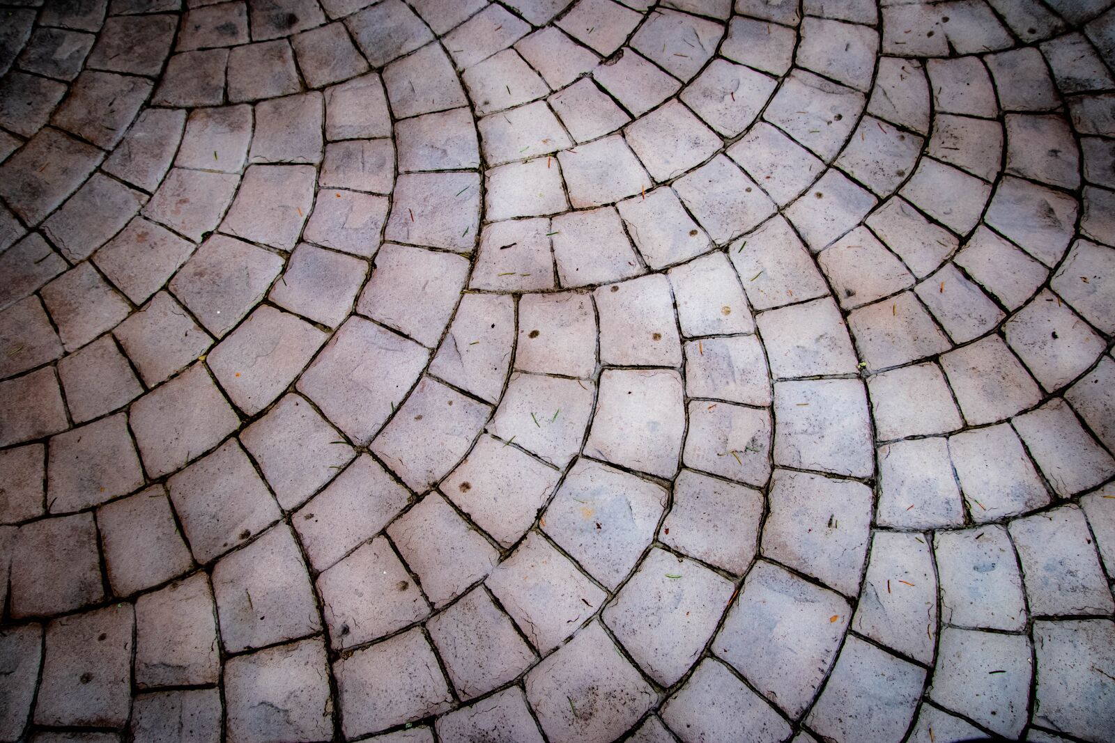 Nikon D5500 sample photo. Stone, tile, pattern photography