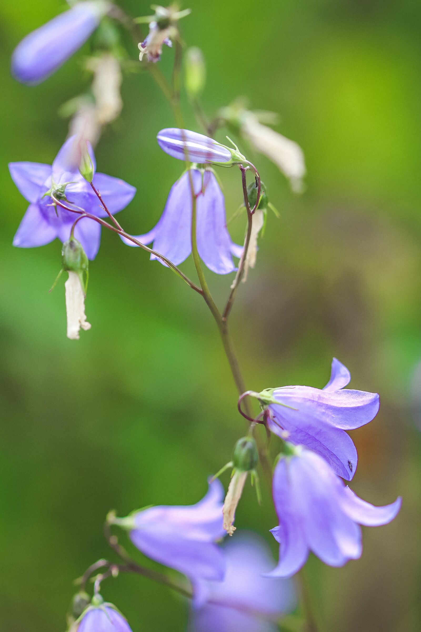 Canon EOS 5D Mark IV Sample Photo 3X3TxQmZSe ExploreCams canon-eos-5d-mark-iv-sample-photo-3x3txqmzse-explorecams