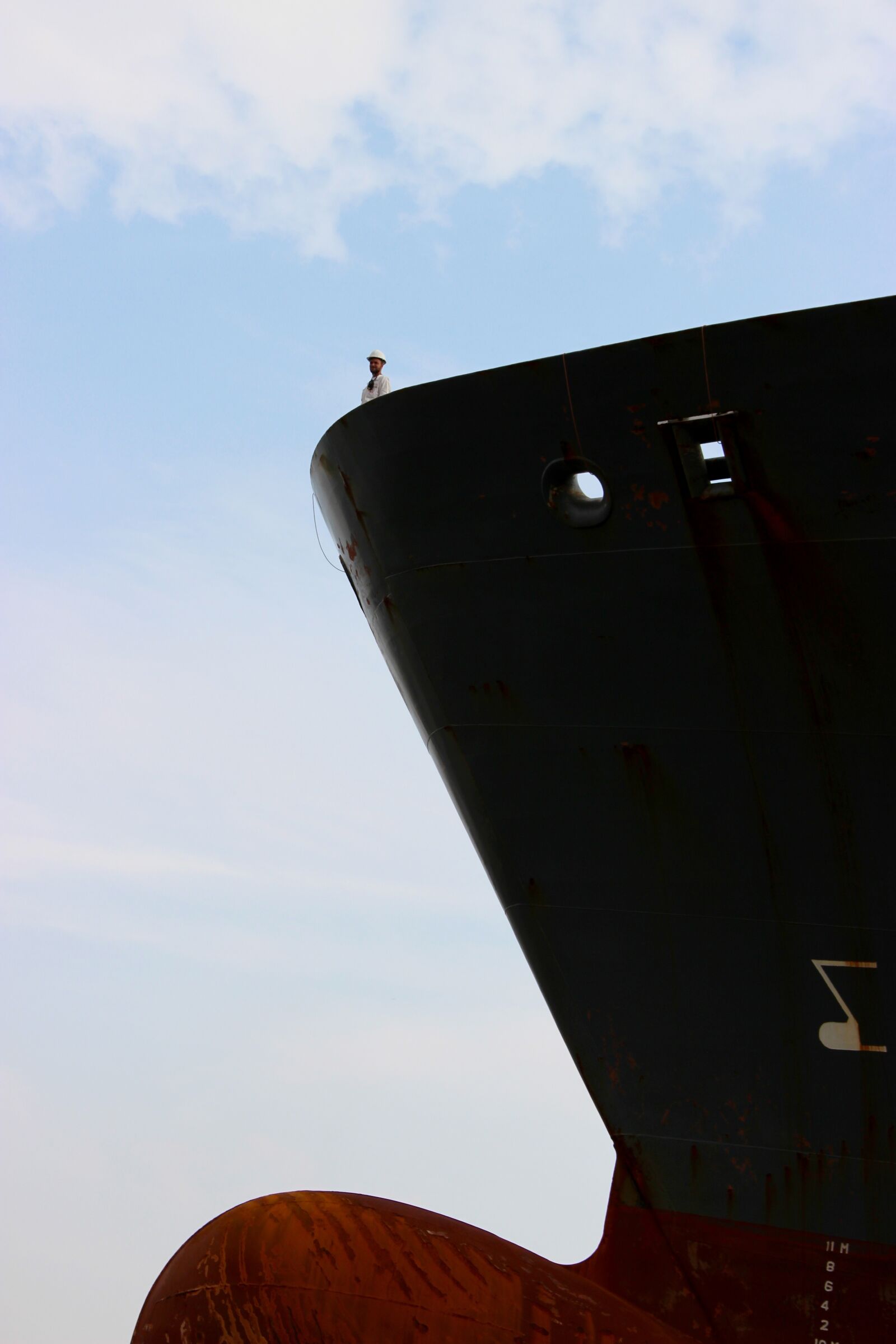 Canon EF-S 18-135mm F3.5-5.6 IS sample photo. Ship, freighter, bug photography