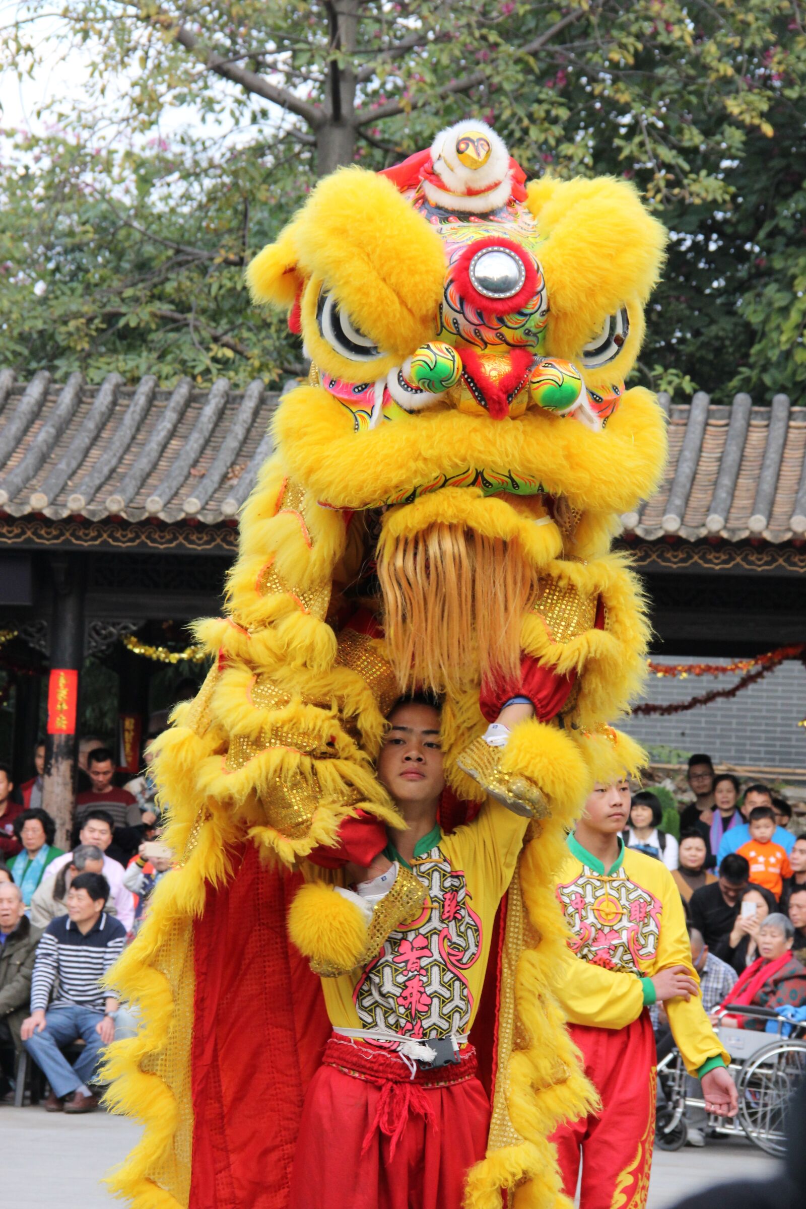 Canon EF-S 18-135mm F3.5-5.6 IS sample photo. Lion, foshan, festive photography