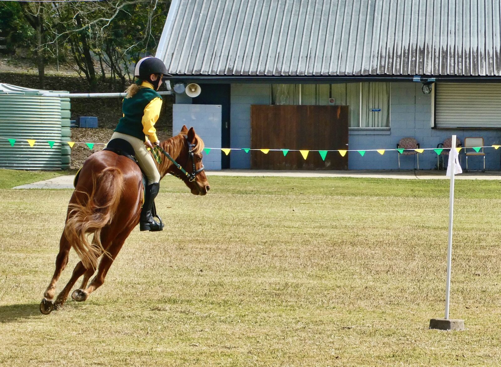 Panasonic Lumix DC-ZS70 (Lumix DC-TZ90) sample photo. Horse, rider, equine photography