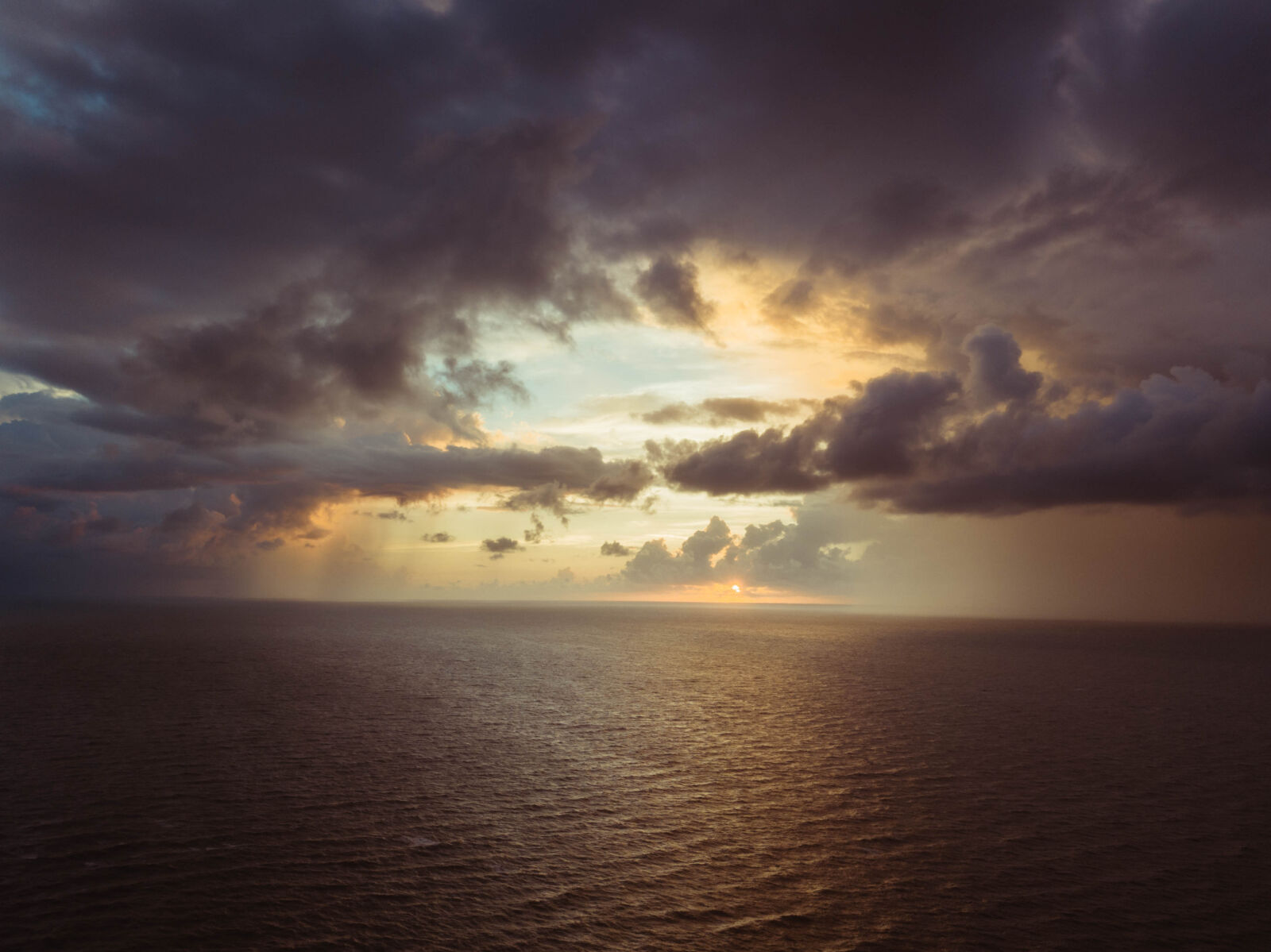 DJI FC220 sample photo. Beach, bird, s, eye photography