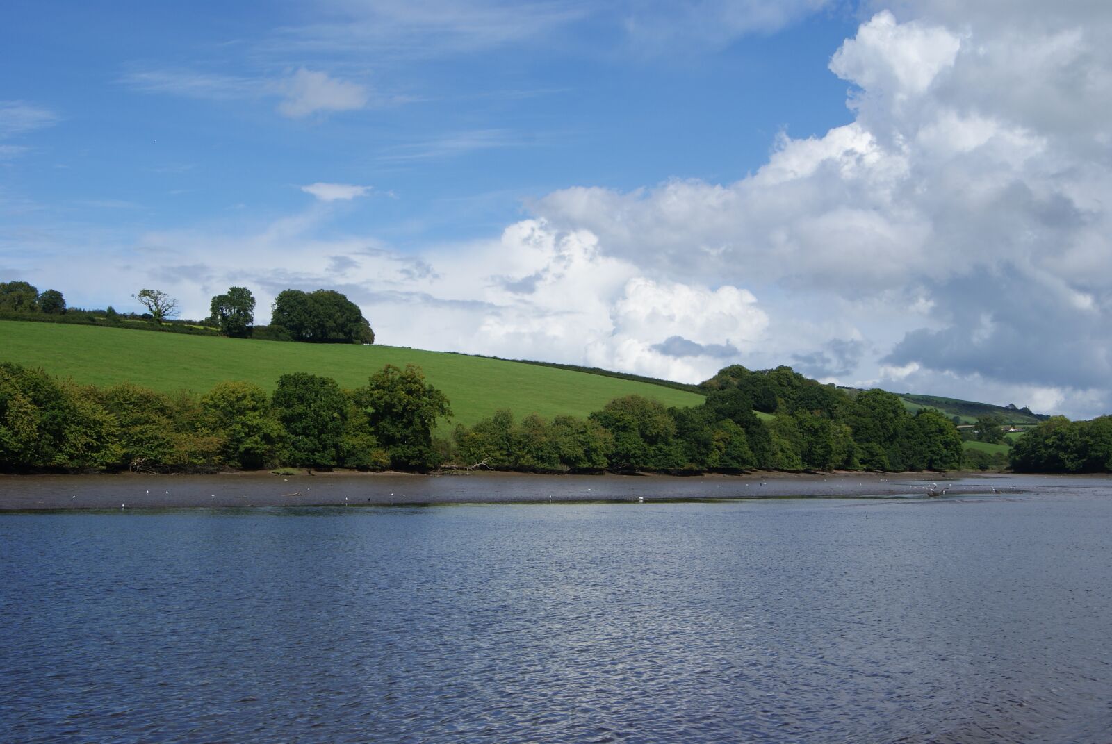 Sony Alpha DSLR-A230 sample photo. River, landscape, water photography