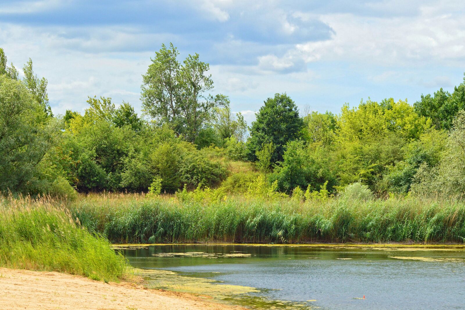 Nikon D3200 sample photo. Landscape, trees, lake photography